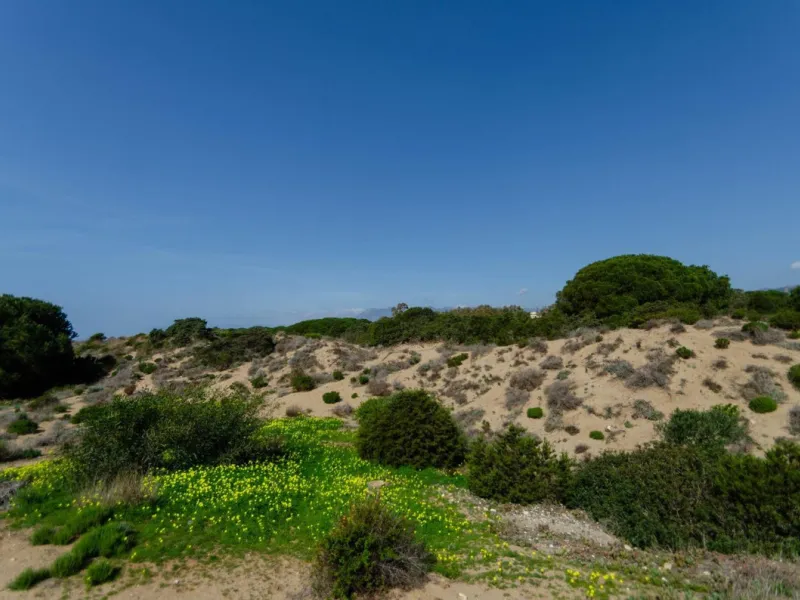 ✨ Living next to the Artola dunes and the best beach in Marbella ✨