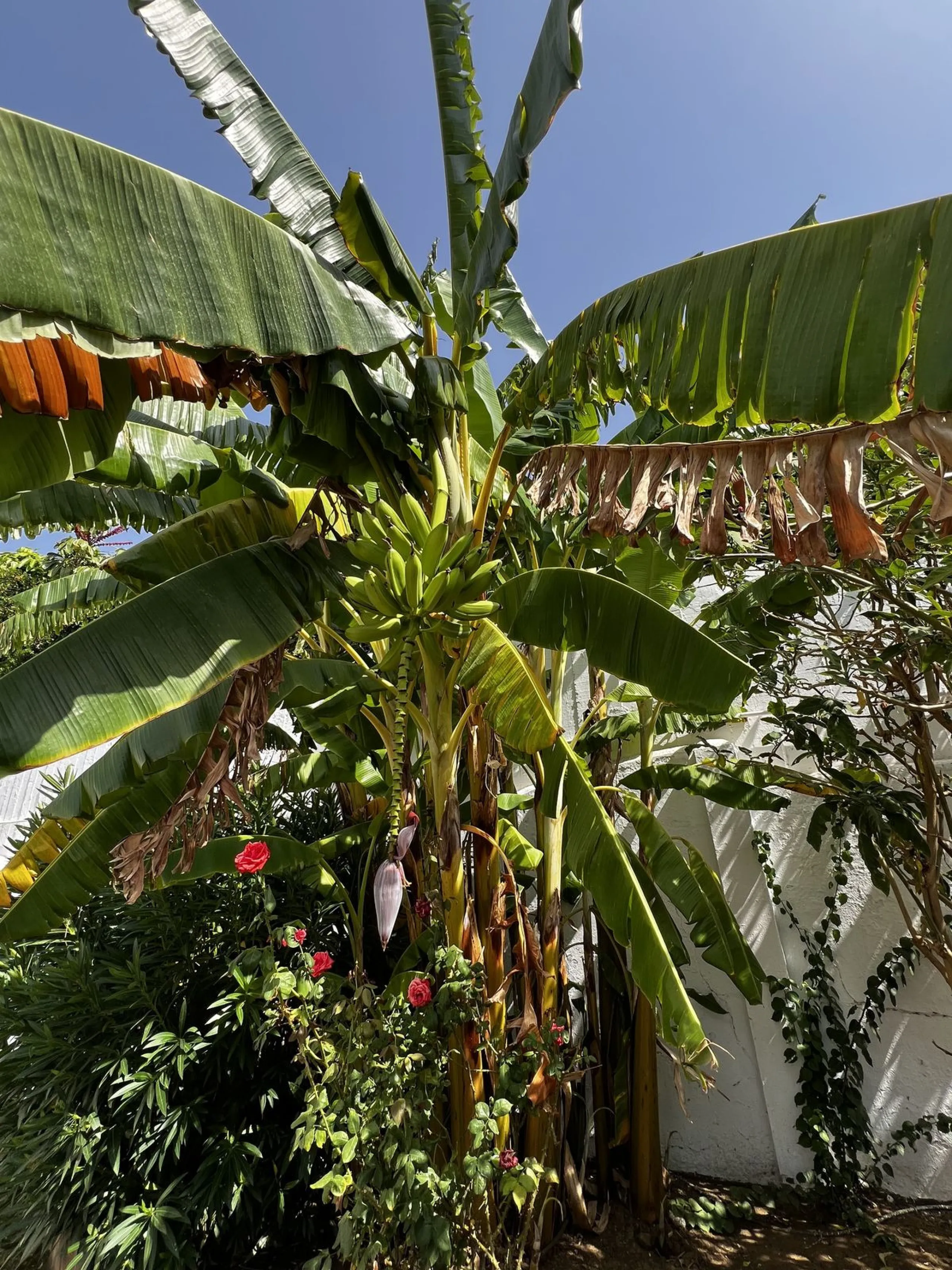 *Spacious Villa with Sea Views in Estepona / Seghers*
