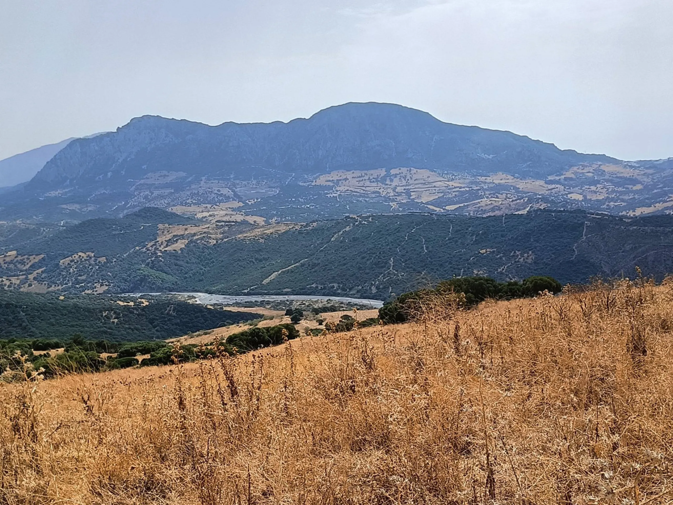 Commercial - Farm в продаже в Gaucín, Málaga. Площадь дома 800 м². Площадь участка 2 м²