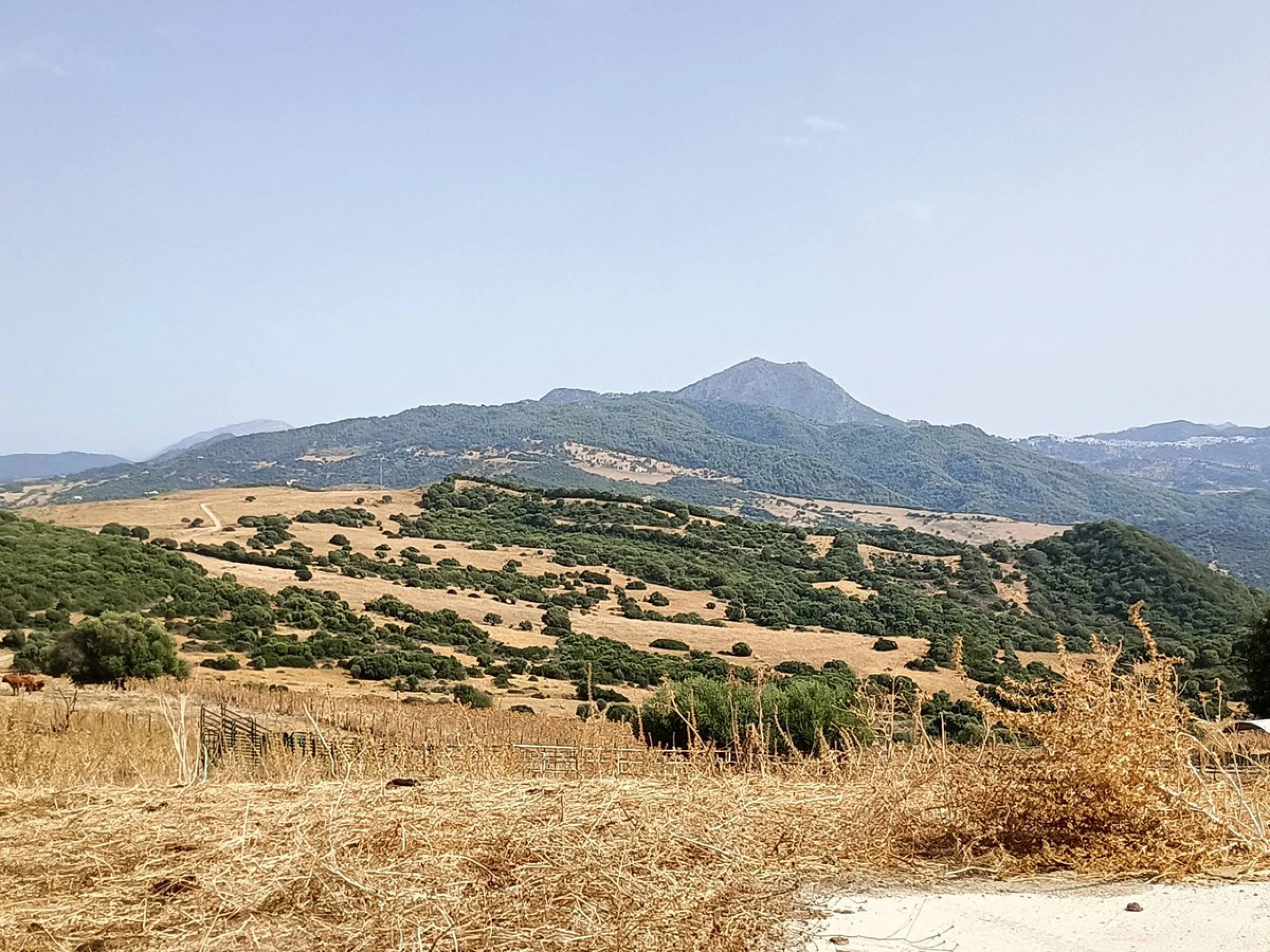 Commercial - Farm в продаже в Gaucín, Málaga. Площадь дома 800 м². Площадь участка 2 м²