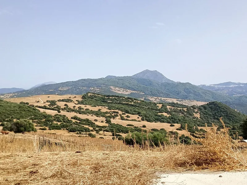Commercial - Farm в продаже в Gaucín, Málaga. Площадь дома 800 м². Площадь участка 2 м²
