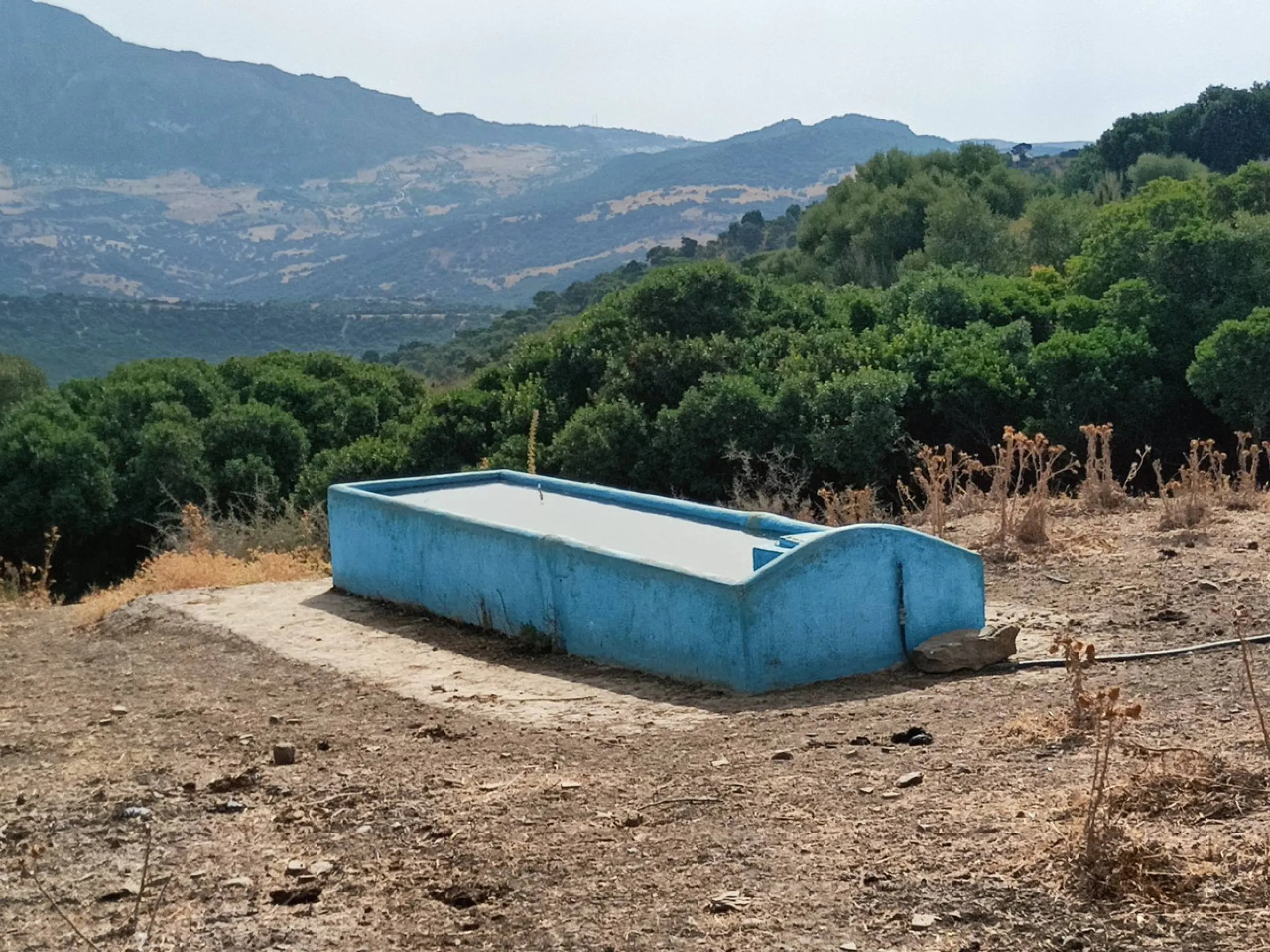 Commercial - Farm в продаже в Gaucín, Málaga. Площадь дома 800 м². Площадь участка 2 м²