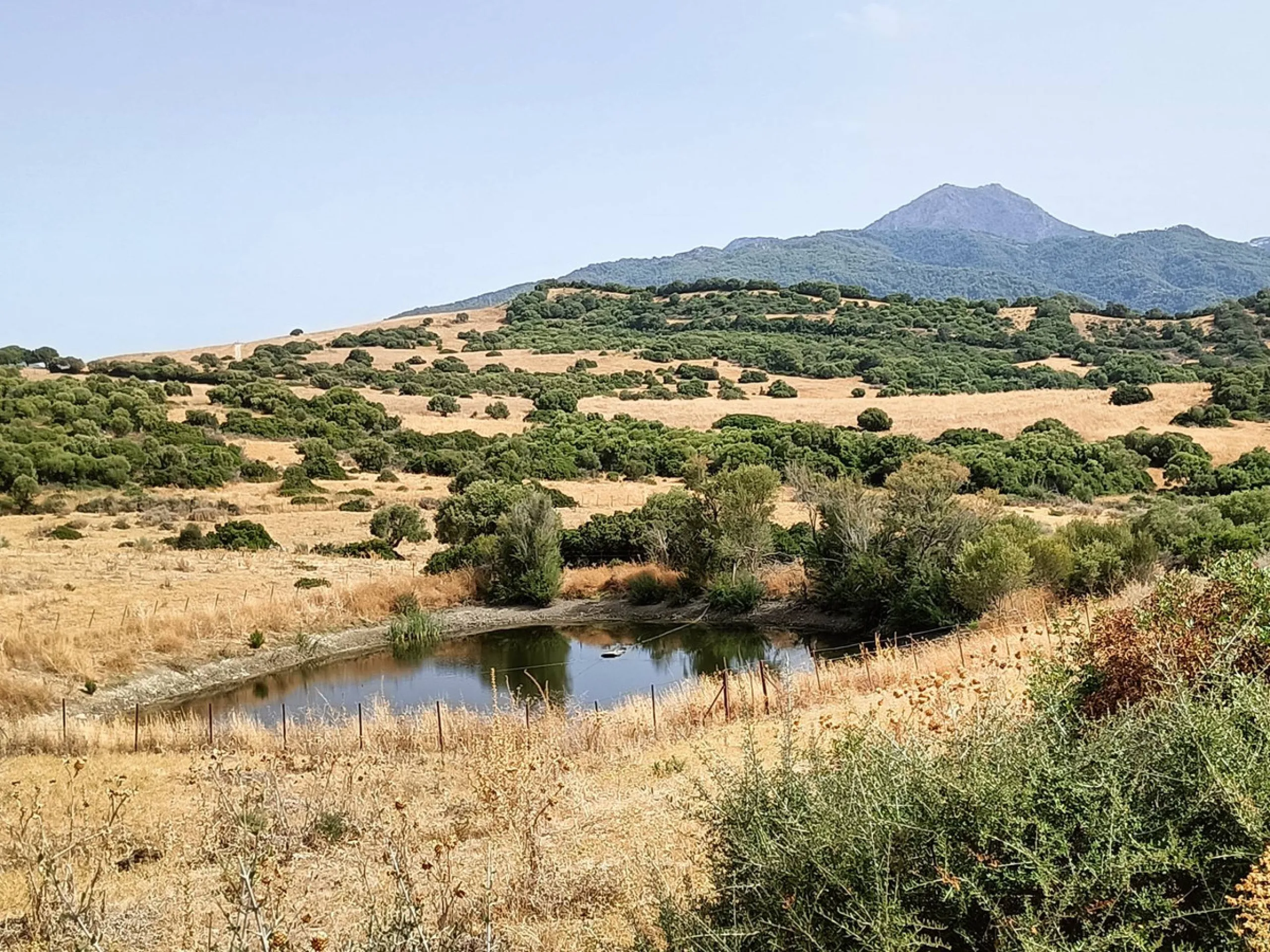 Commercial - Farm в продаже в Gaucín, Málaga. Площадь дома 800 м². Площадь участка 2 м²
