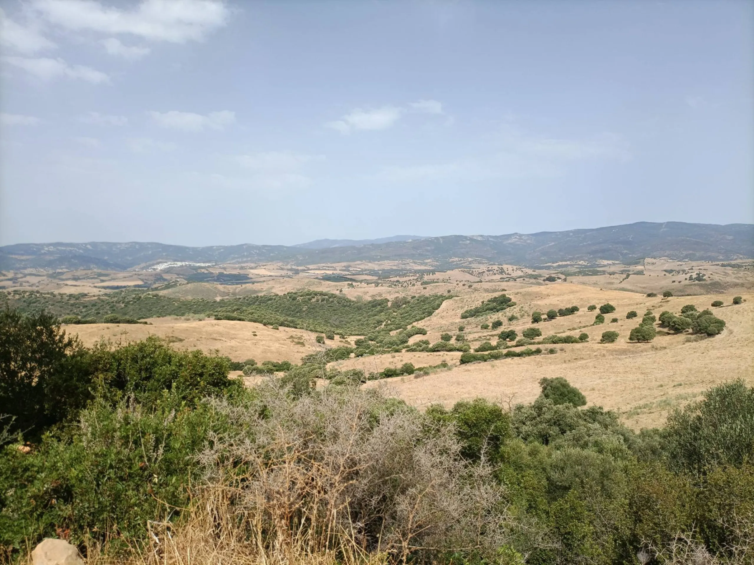 Commercial - Farm в продаже в Gaucín, Málaga. Площадь дома 800 м². Площадь участка 2 м²