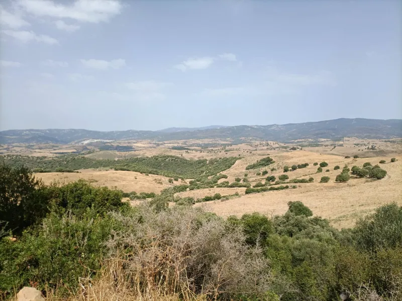 Commercial - Farm в продаже в Gaucín, Málaga. Площадь дома 800 м². Площадь участка 2 м²