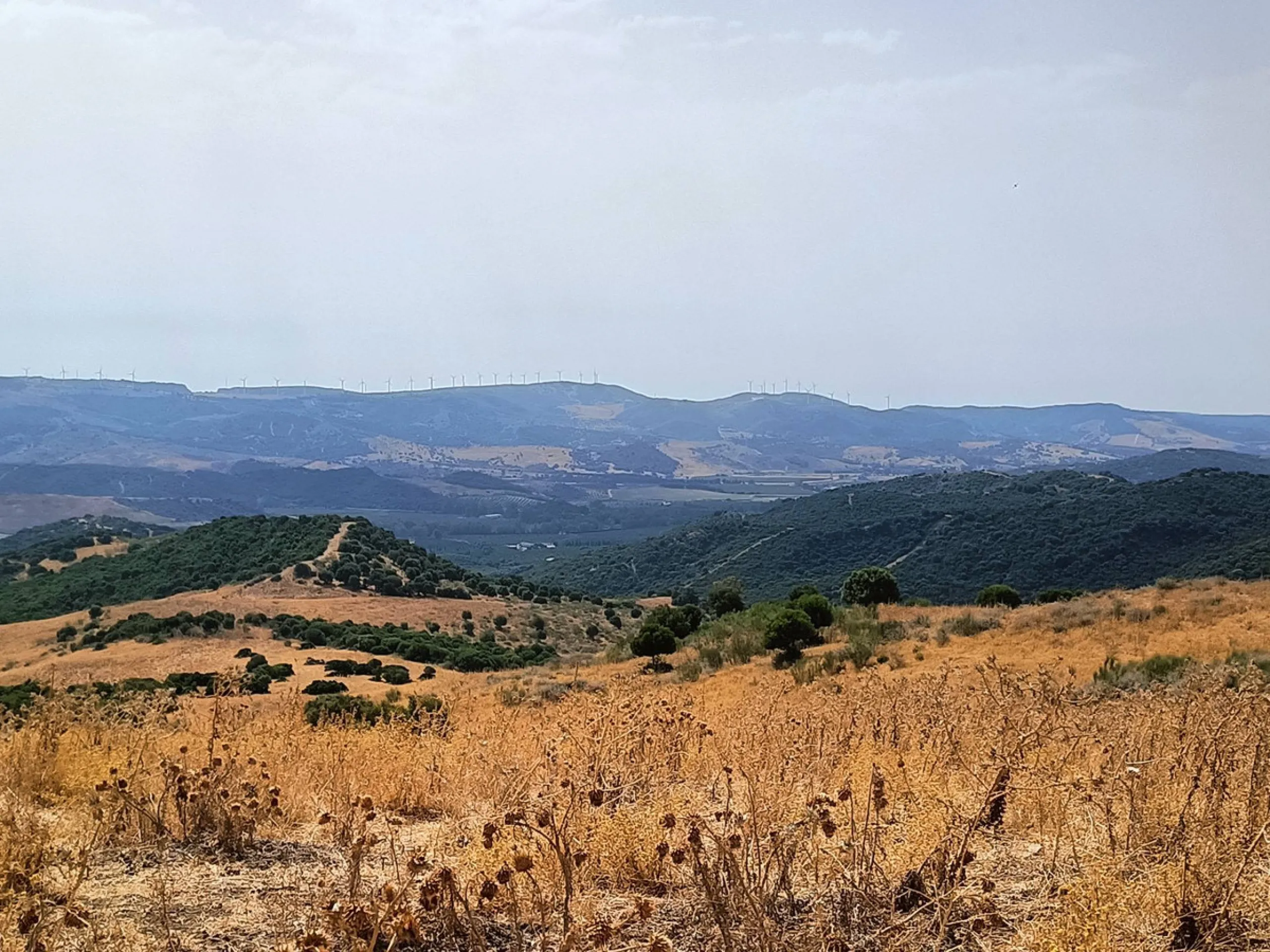 Commercial - Farm в продаже в Gaucín, Málaga. Площадь дома 800 м². Площадь участка 2 м²