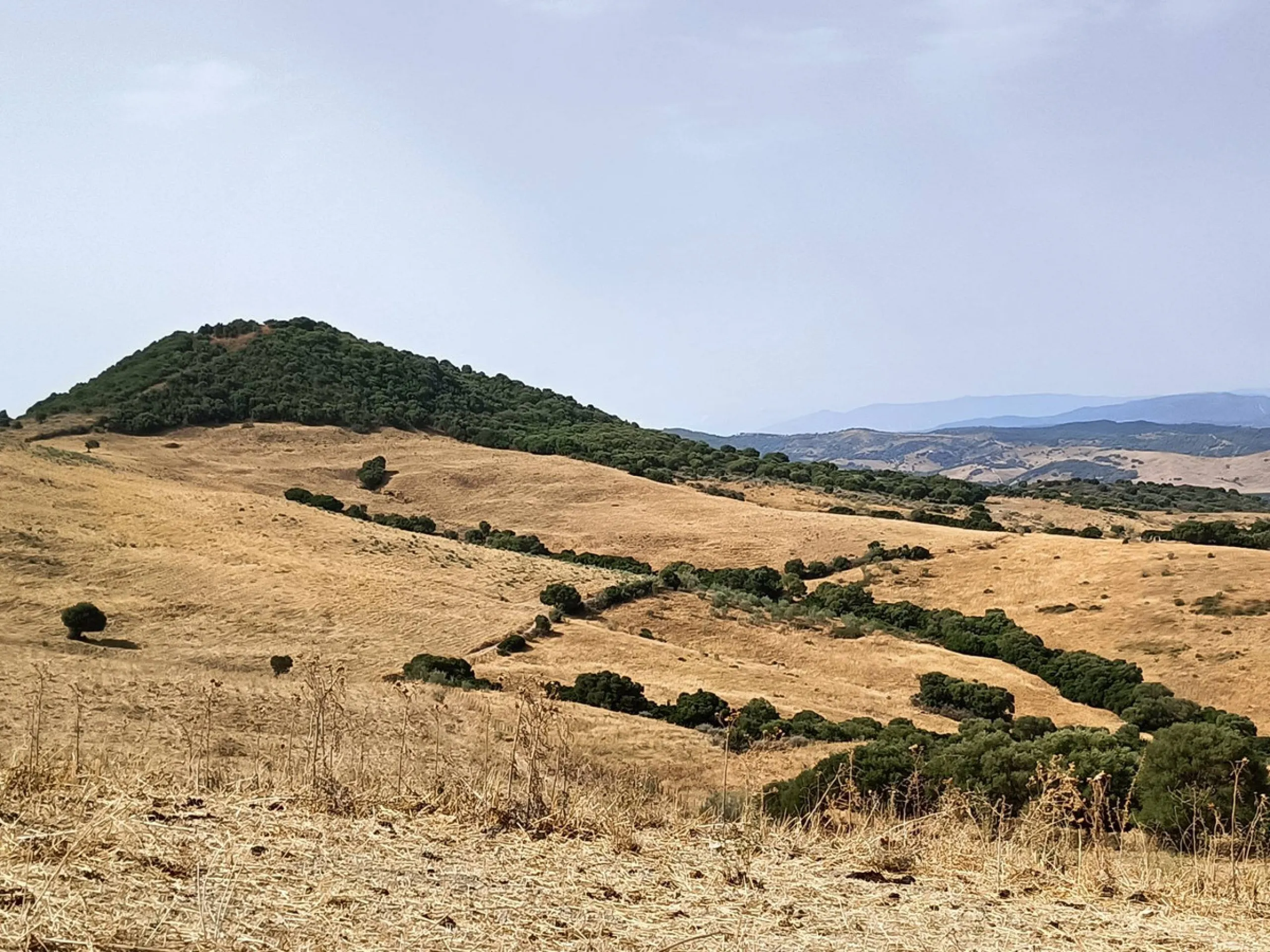 Commercial - Farm в продаже в Gaucín, Málaga. Площадь дома 800 м². Площадь участка 2 м²