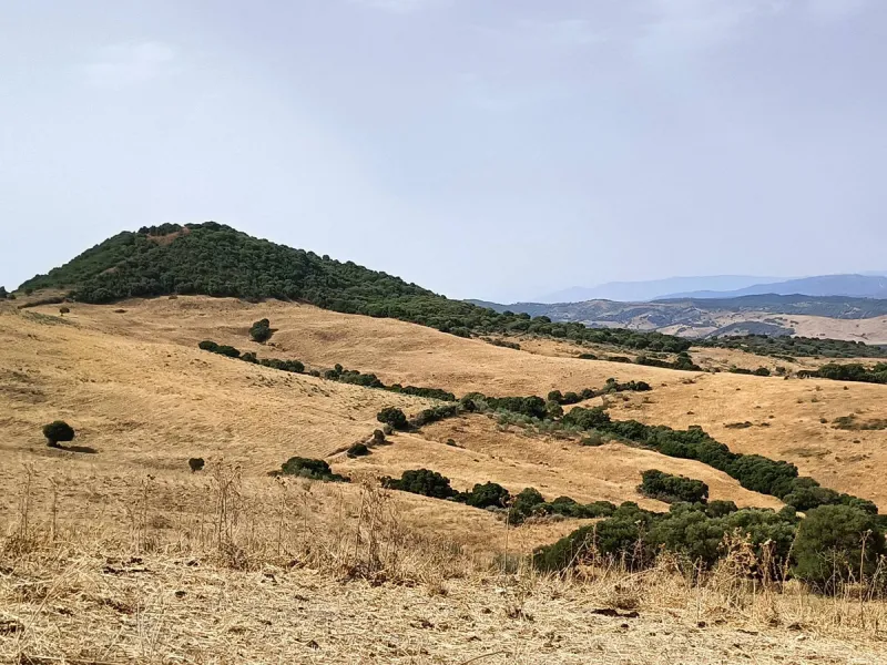 Commercial - Farm в продаже в Gaucín, Málaga. Площадь дома 800 м². Площадь участка 2 м²