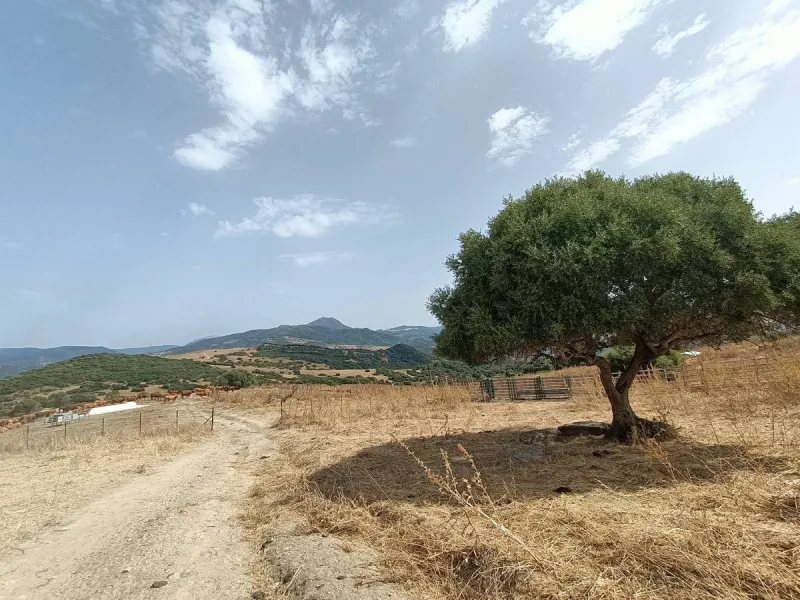 Commercial - Farm в продаже в Gaucín, Málaga. Площадь дома 800 м². Площадь участка 2 м²