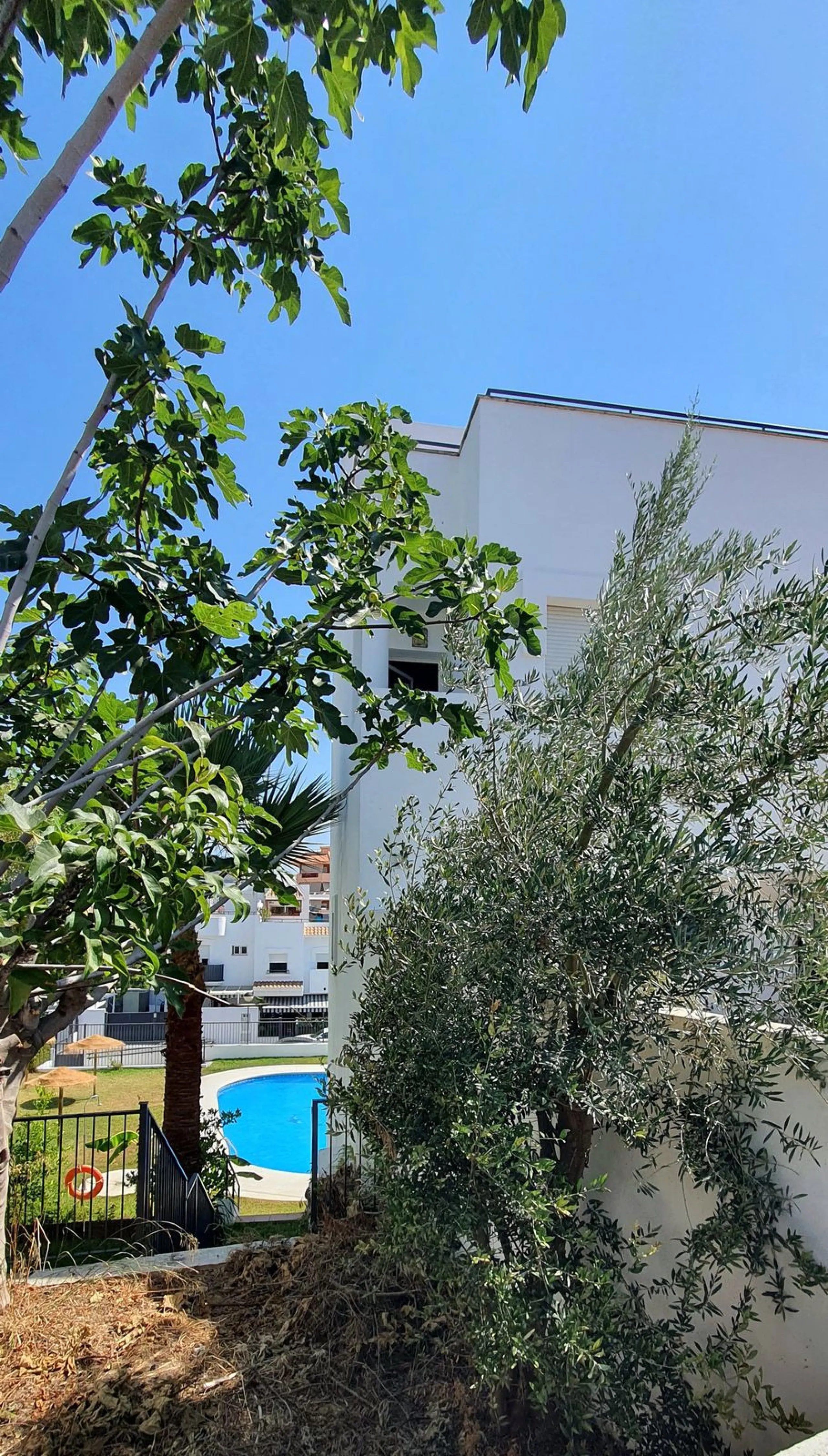 This exceptional large corner townhouse offers space, comfort, and versatility for the entire family.