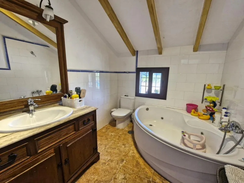 Charming Riverside Finca in Coín