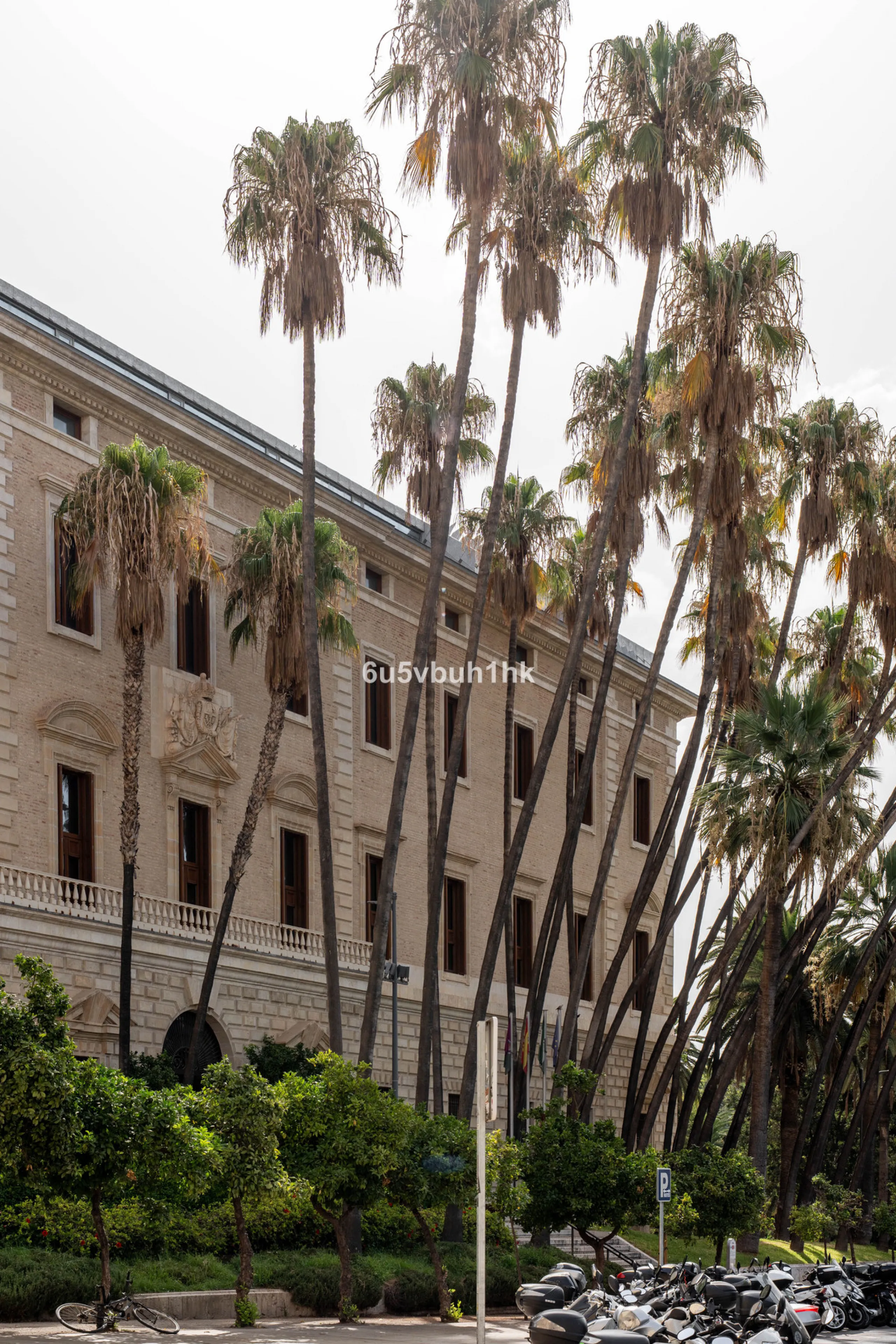 In the very heart of Málaga's historic centre, on the corner of two charming pedestrian streets, lies one of those treasures that makes the hearts of architecture lovers beat faster. This is not a move-in-ready home — it's an invitation to dream, to trans
