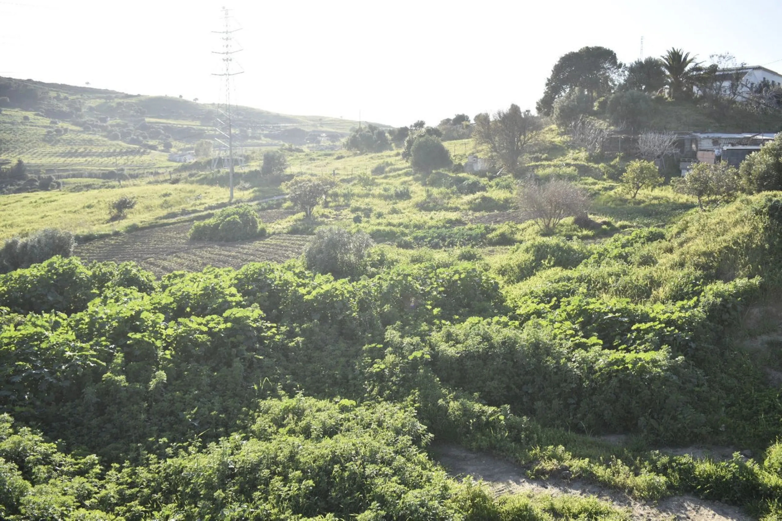 Unique opportunity on the Costa del Sol! Plot with panoramic sea views in Bahía de Casares and the exclusive Finca Cortesín – Hotel Golf Resort. On the right side of the M300 road, Finca Cortesin Casares.