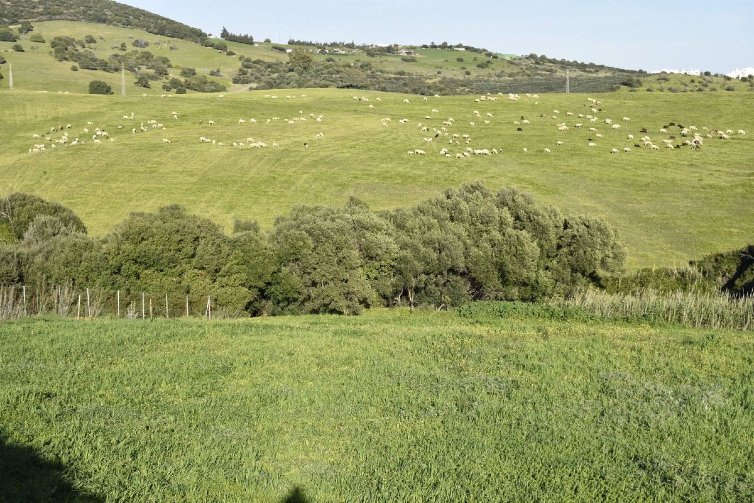 Unique opportunity on the Costa del Sol! Plot with panoramic sea views in Bahía de Casares and the exclusive Finca Cortesín – Hotel Golf Resort. On the right side of the M300 road, Finca Cortesin Casares.