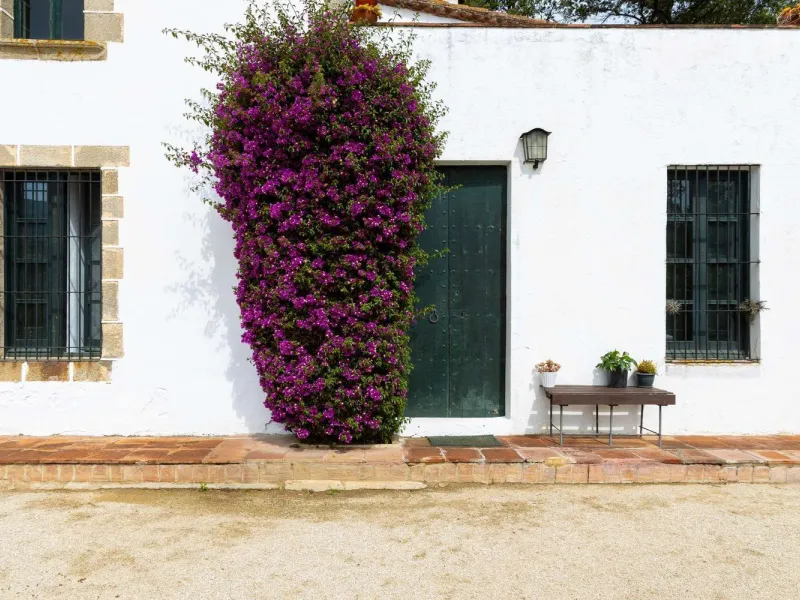 Historic Estate in the Maresme Region