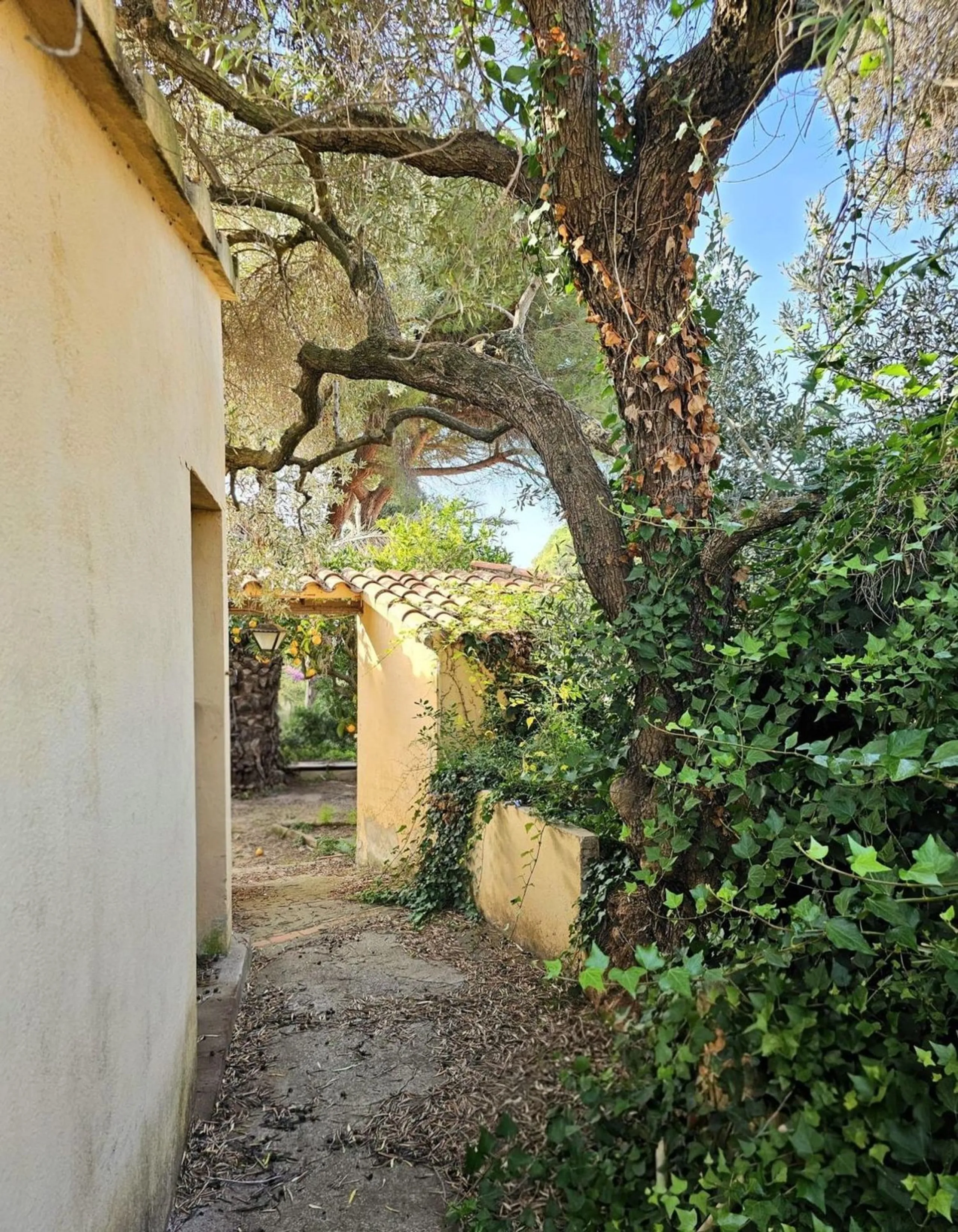 Exclusive Historic Estate with in Teia
