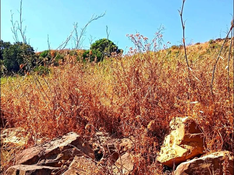 Plot - Land в продаже в Estepona, Málaga. Площадь участка 21000 м²