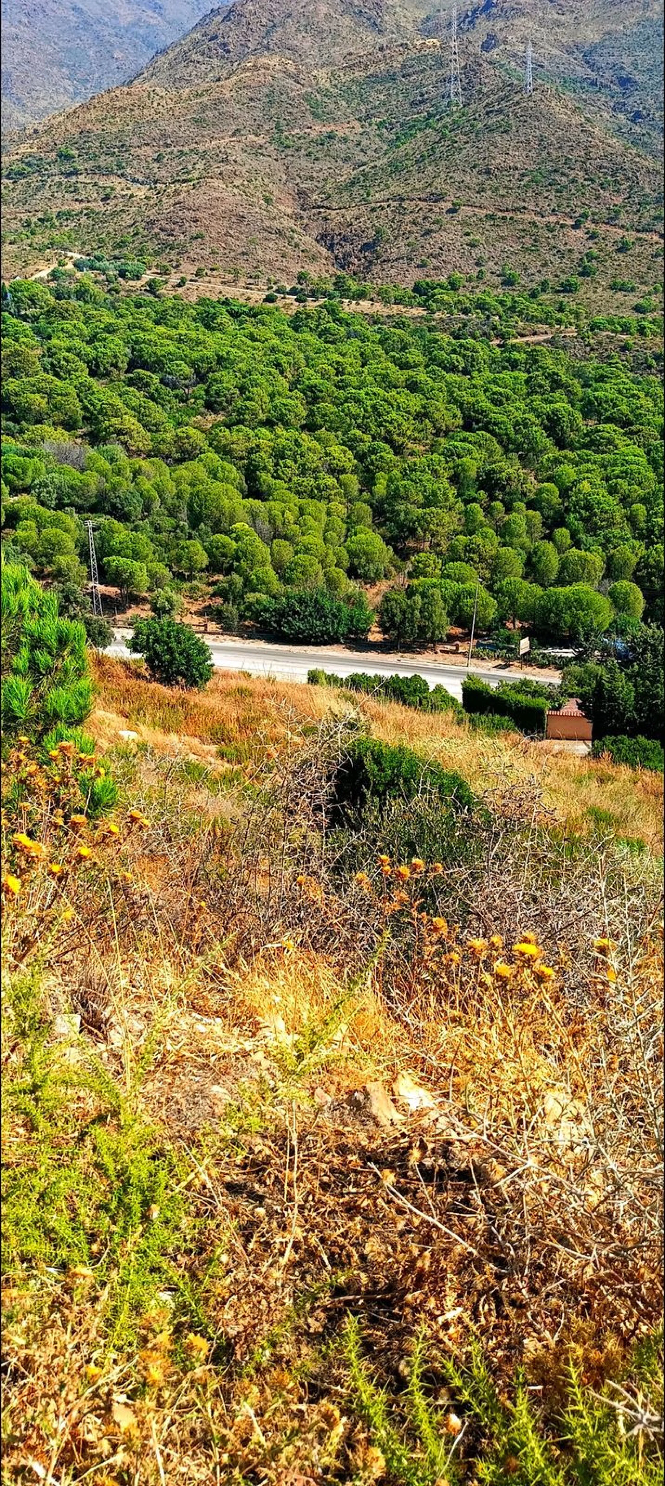 Plot - Land в продаже в Estepona, Málaga. Площадь участка 21000 м²