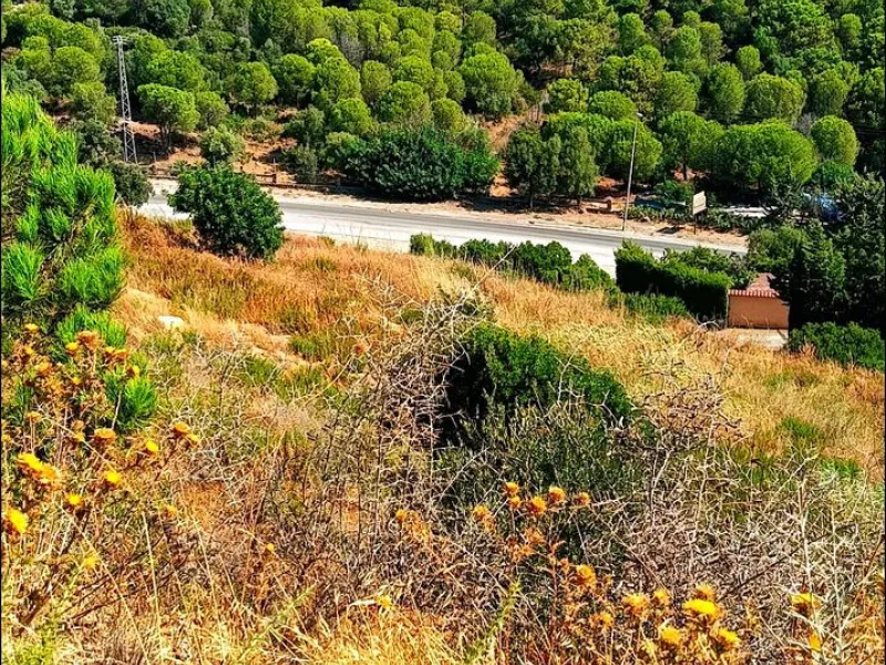 Plot - Land в продаже в Estepona, Málaga. Площадь участка 21000 м²