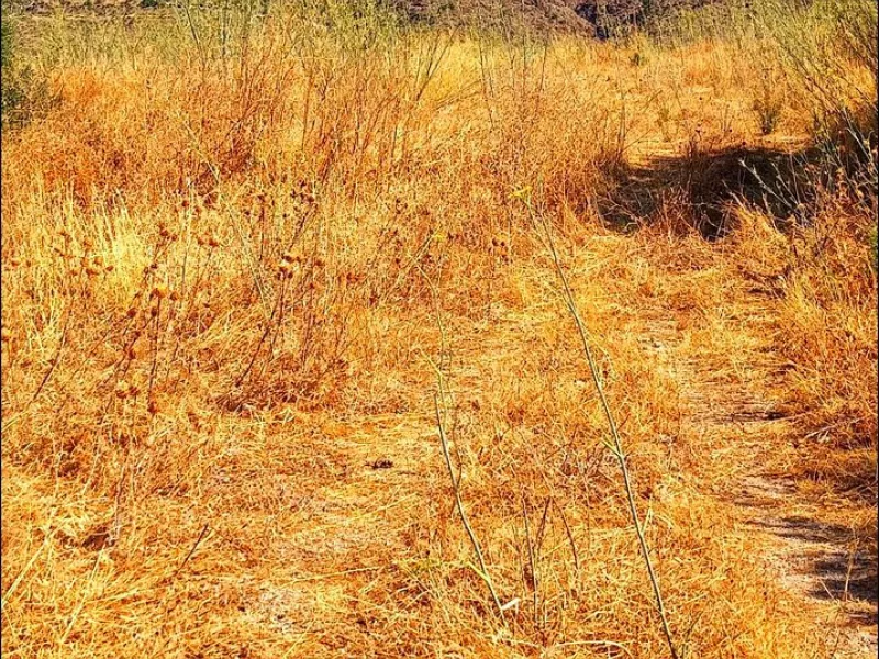 Plot - Land в продаже в Estepona, Málaga. Площадь участка 21000 м²