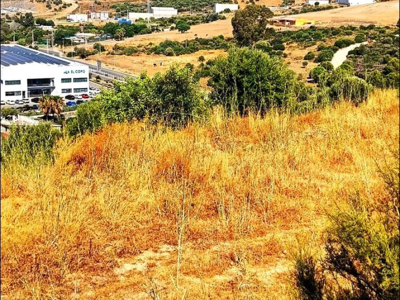 Plot - Land в продаже в Estepona, Málaga. Площадь участка 21000 м²