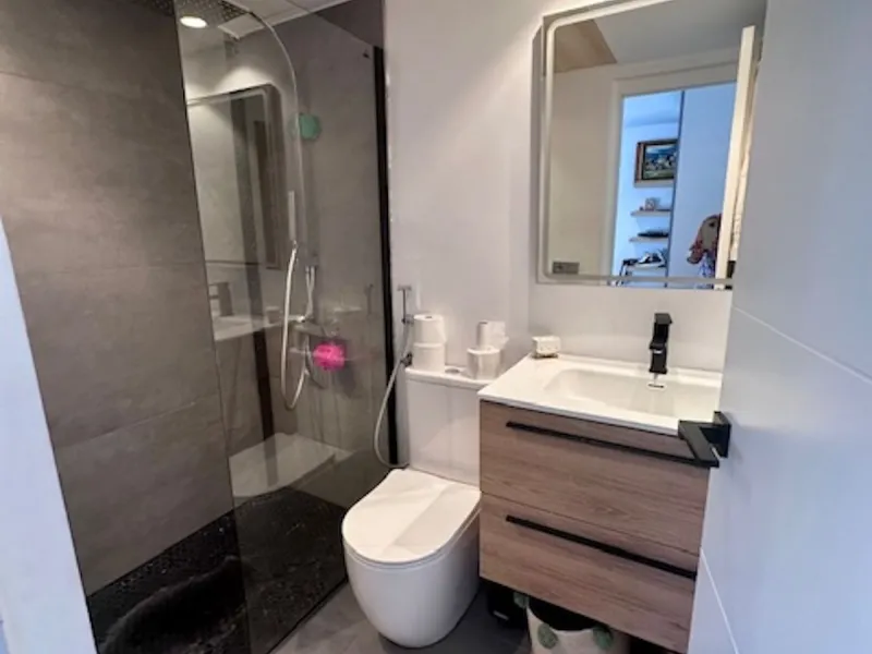 MODERN GROUND FLOOR APARTMENT - FULLY RENOVATED AND WITH PRIVATE POOL