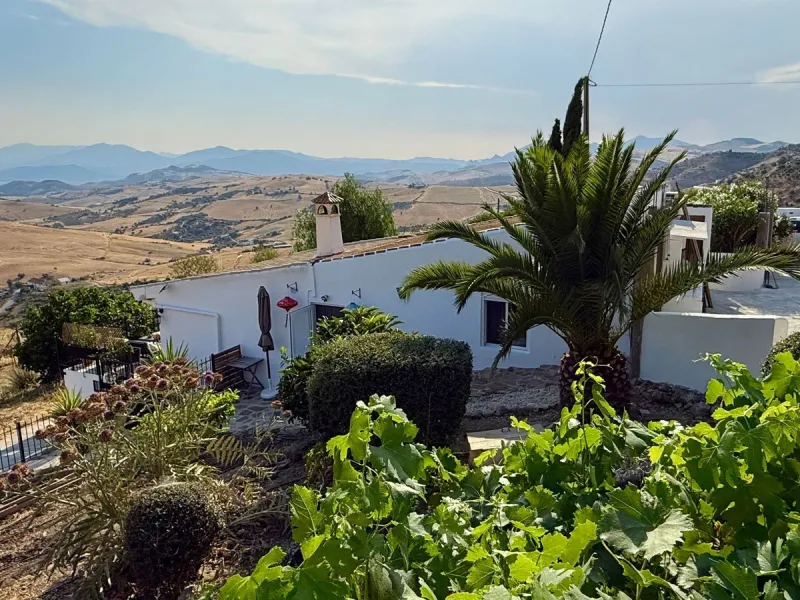 SPECTACULAR ESTATE WITH THREE INDEPENDENT HOUSES AND A STUDIO ON MORE THAN 6,000 m² OF FENCED LAND