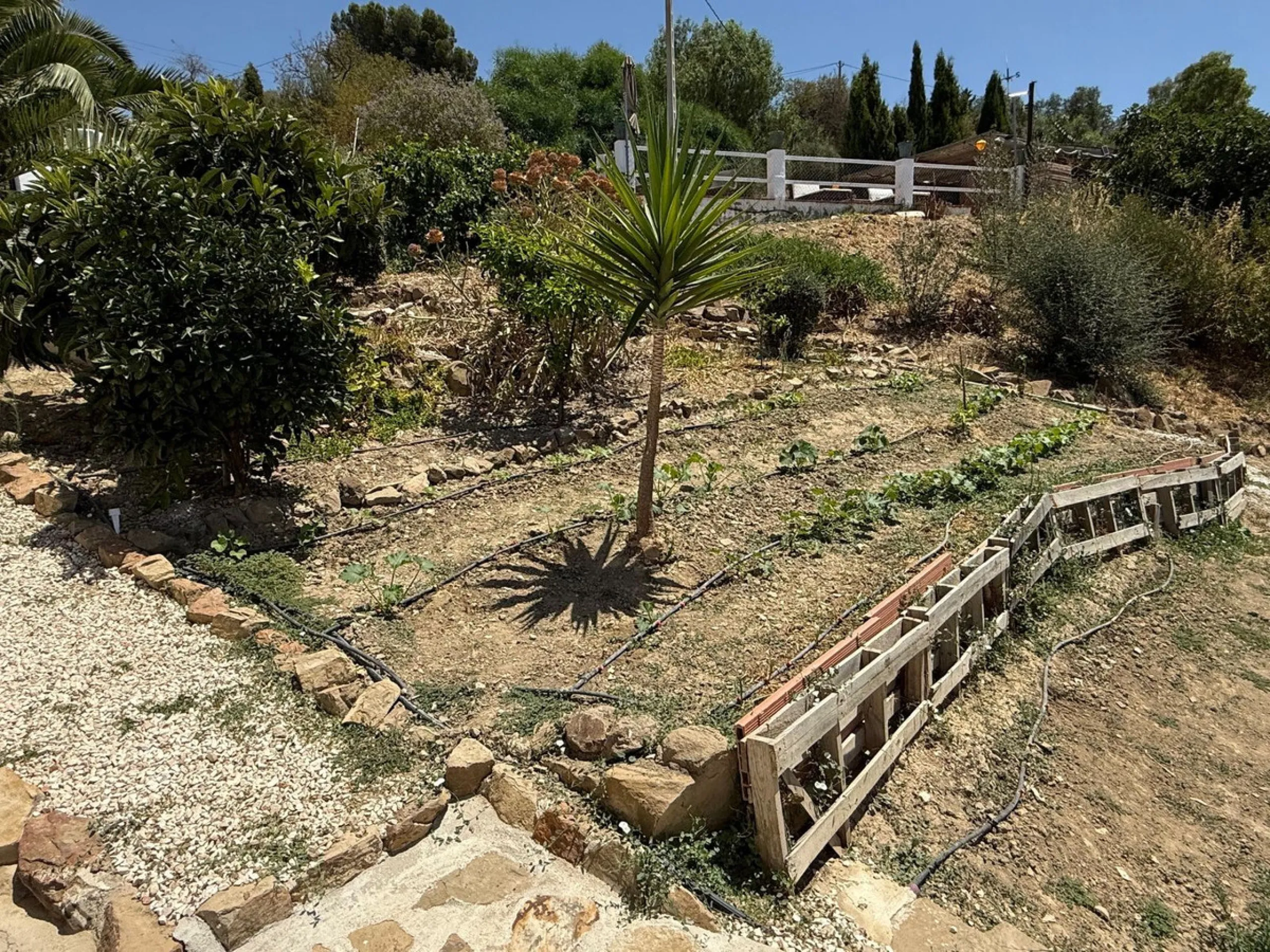 SPECTACULAR ESTATE WITH THREE INDEPENDENT HOUSES AND A STUDIO ON MORE THAN 6,000 m² OF FENCED LAND