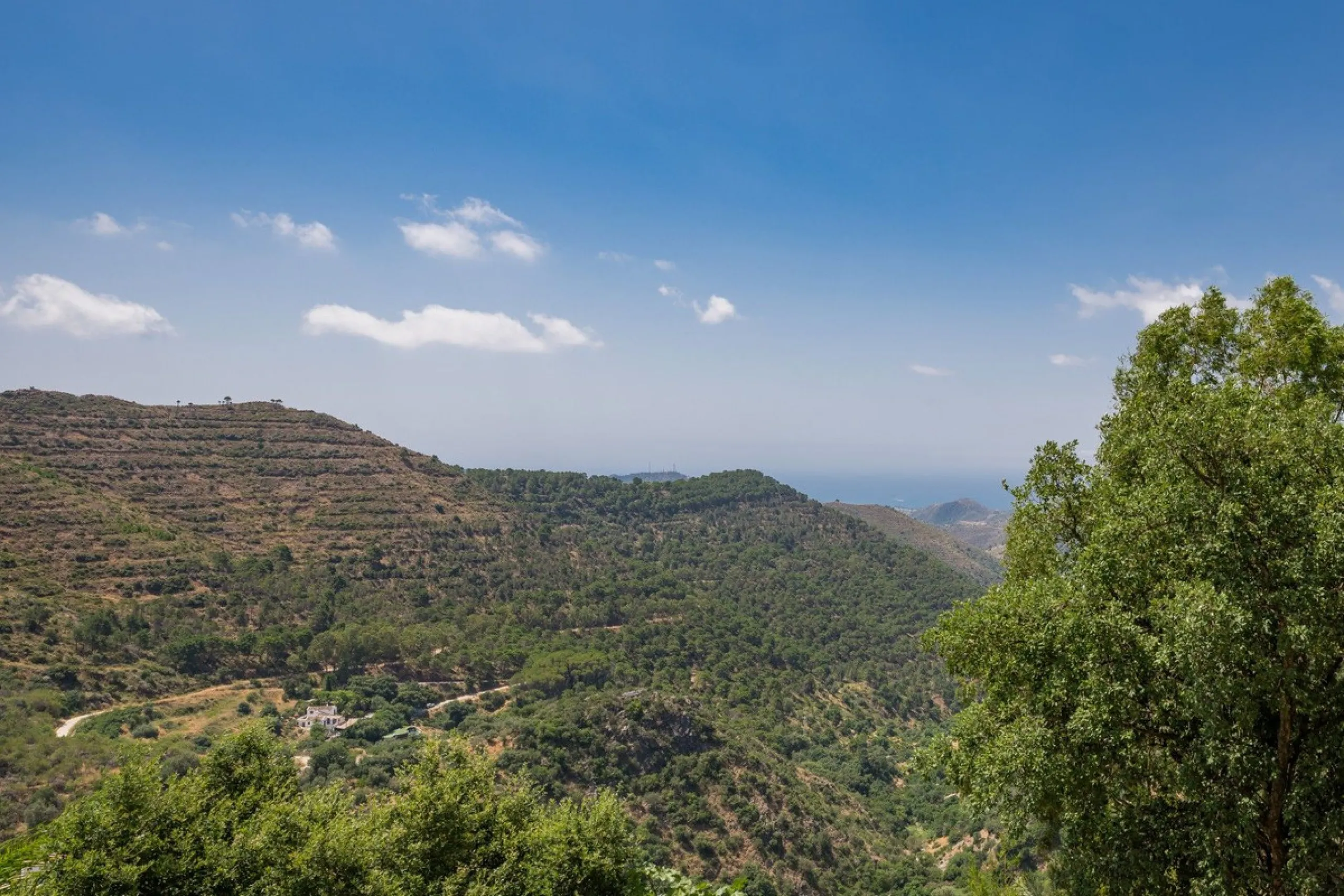 This estate is much more than a property: it's a statement of style, refined taste, and forward-thinking vision. A place where understated luxury blends seamlessly with the serenity of the Andalusian countryside, all while remaining within easy reach of M