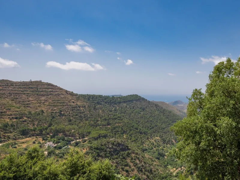 This estate is much more than a property: it's a statement of style, refined taste, and forward-thinking vision. A place where understated luxury blends seamlessly with the serenity of the Andalusian countryside, all while remaining within easy reach of M