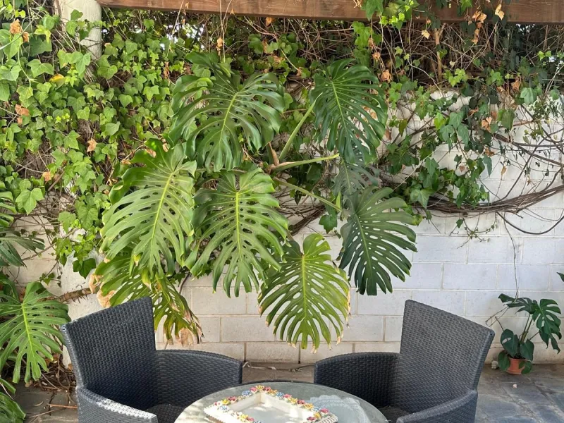 Charming villa with great potential in Urb. El Mirador, Marbella