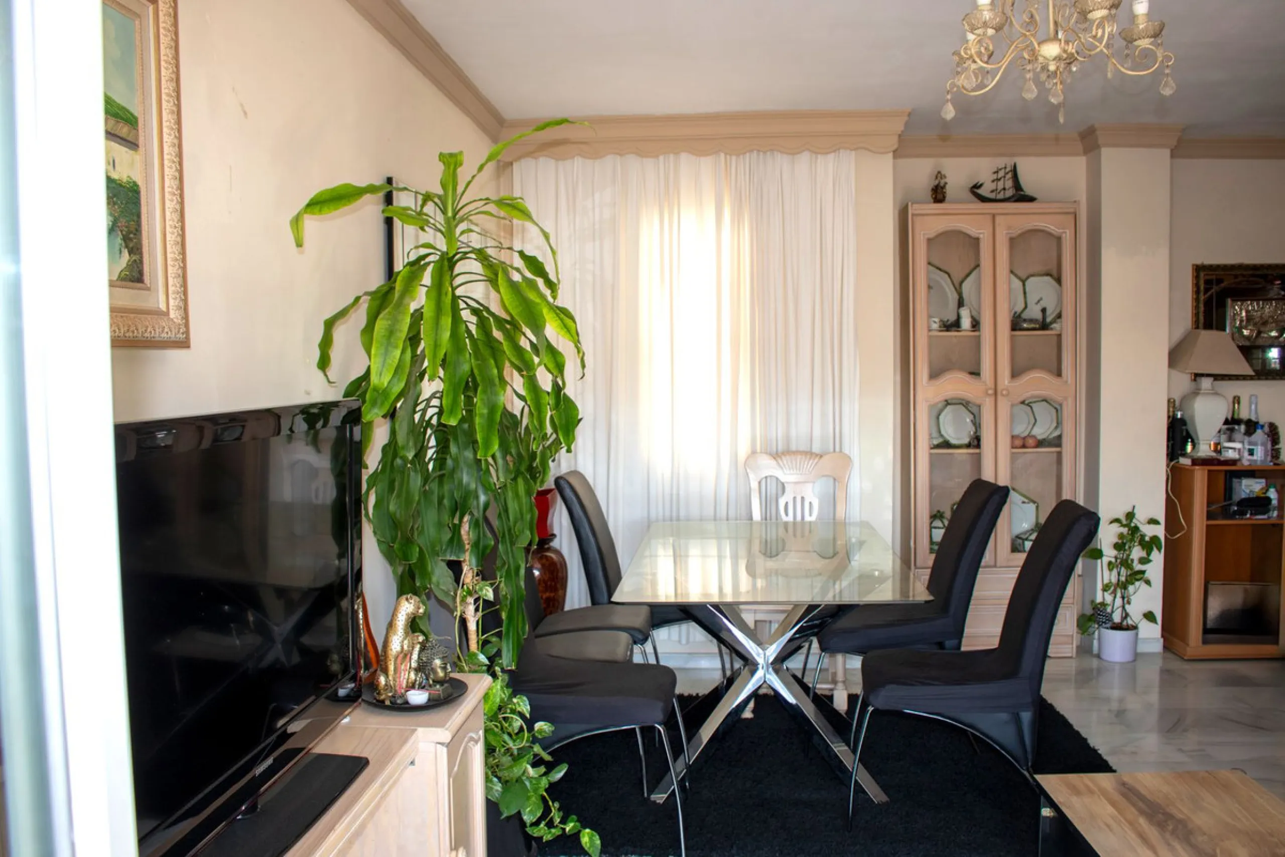 UNIQUE OPPORTUNITY  IN BEST AREA OF SAN PEDRO DE ALCÁNTARA