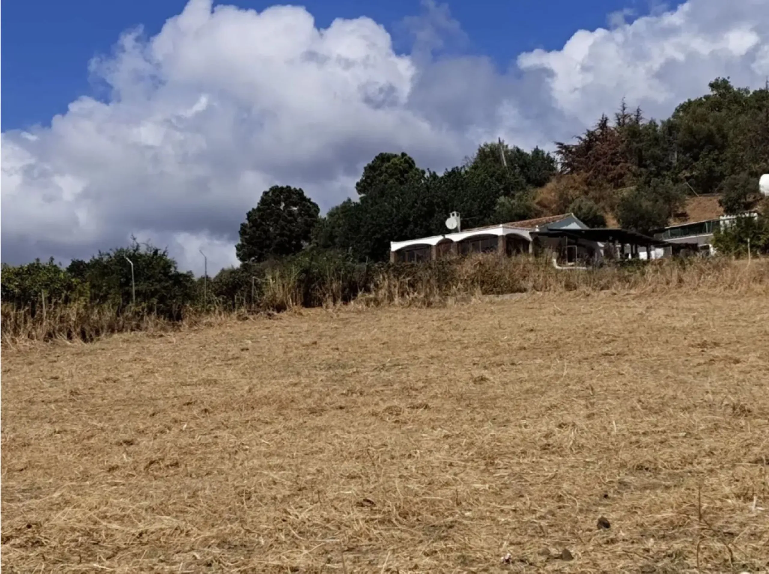 Rustic plot for sale in La Cala, Estepona - Natural surroundings and great agricultural potential.