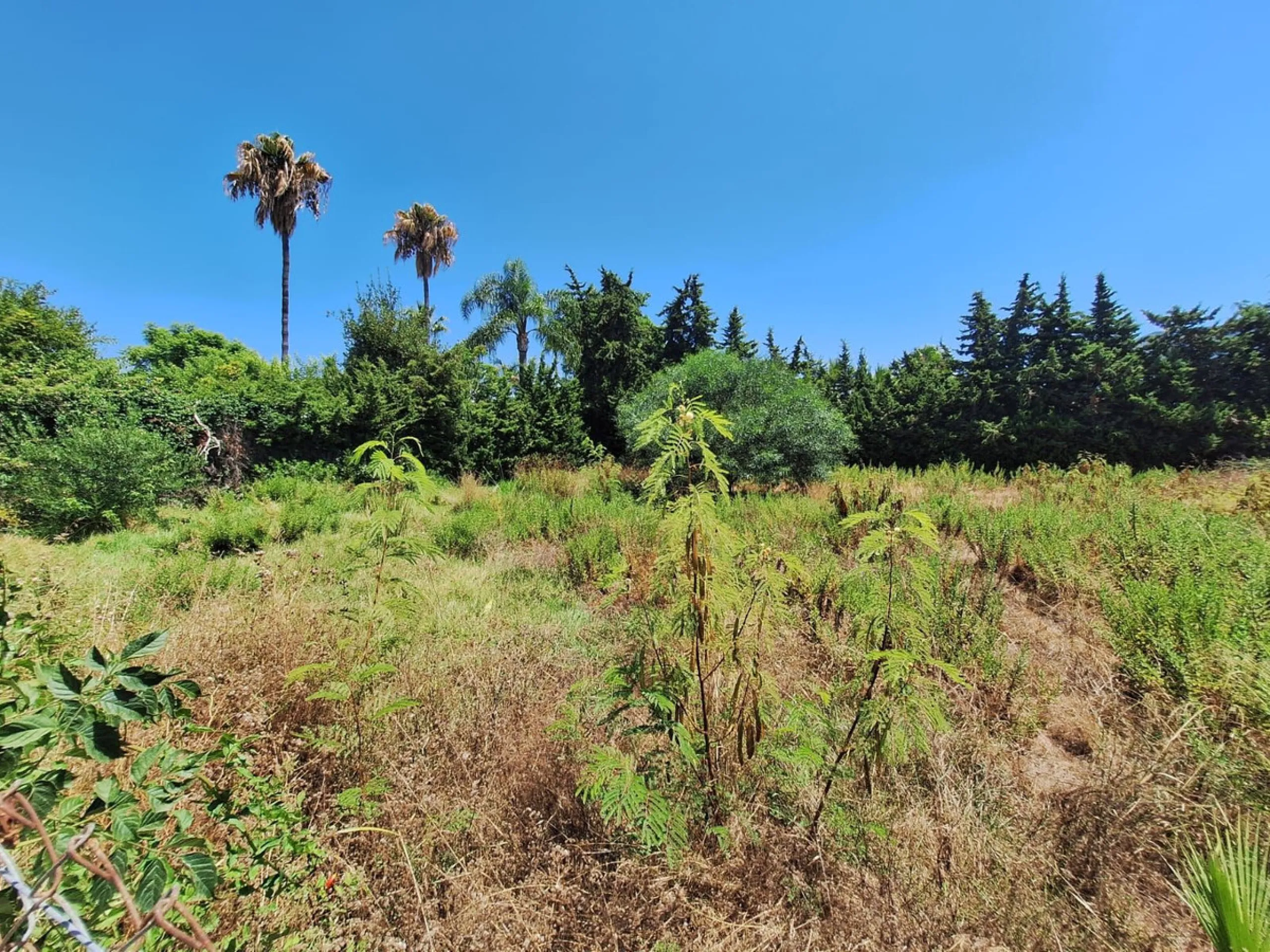 Plot - Residential Plot в продаже в Estepona, Málaga. Площадь участка 2595 м²
