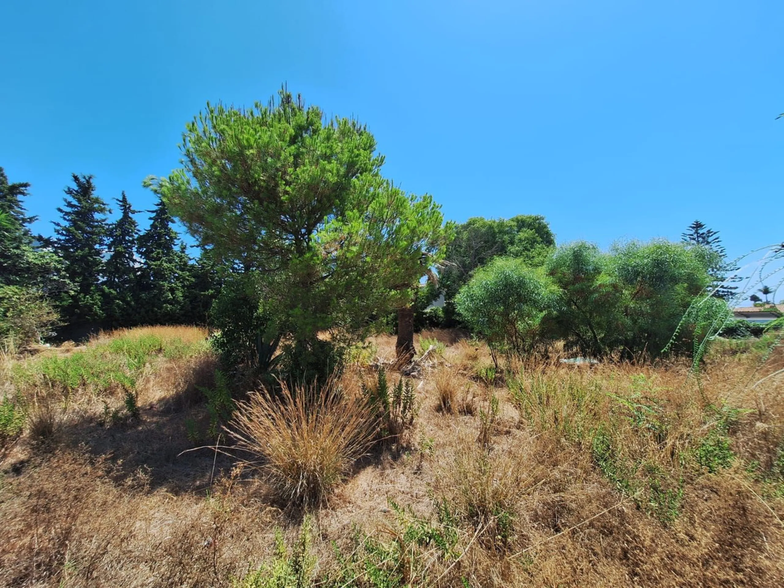 Plot - Residential Plot в продаже в Estepona, Málaga. Площадь участка 2595 м²