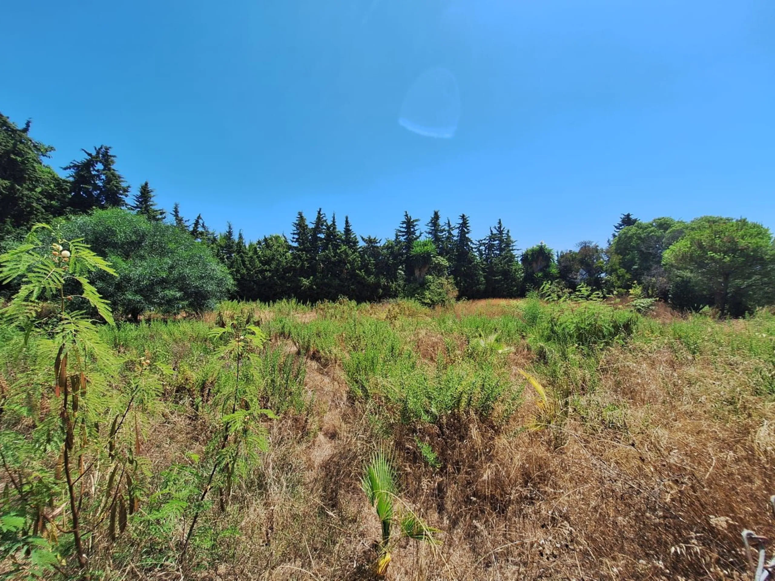 Plot - Residential Plot в продаже в Estepona, Málaga. Площадь участка 2595 м²