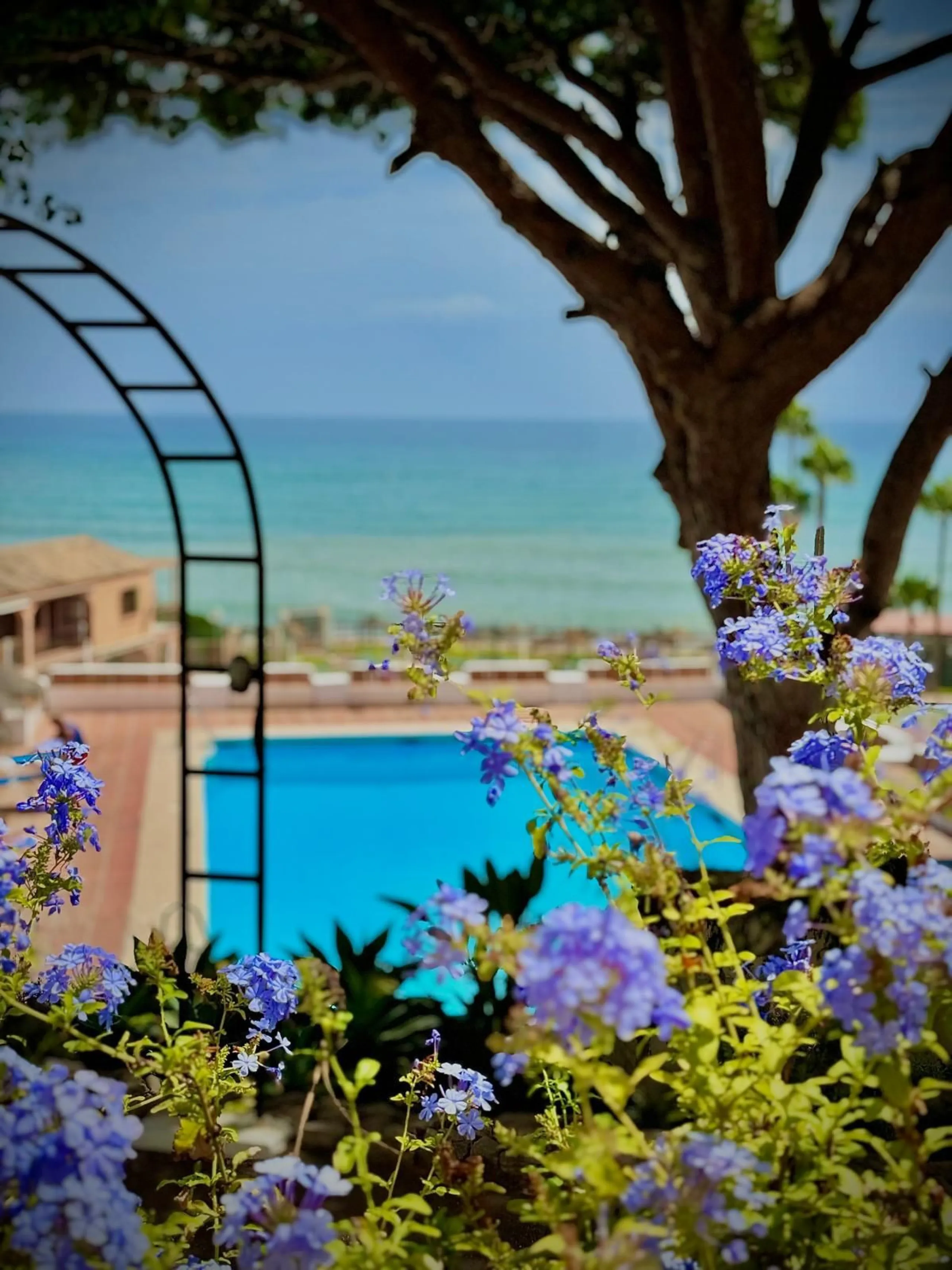 Charming Apartment with Direct Sea Access – Calahonda (Mijas)