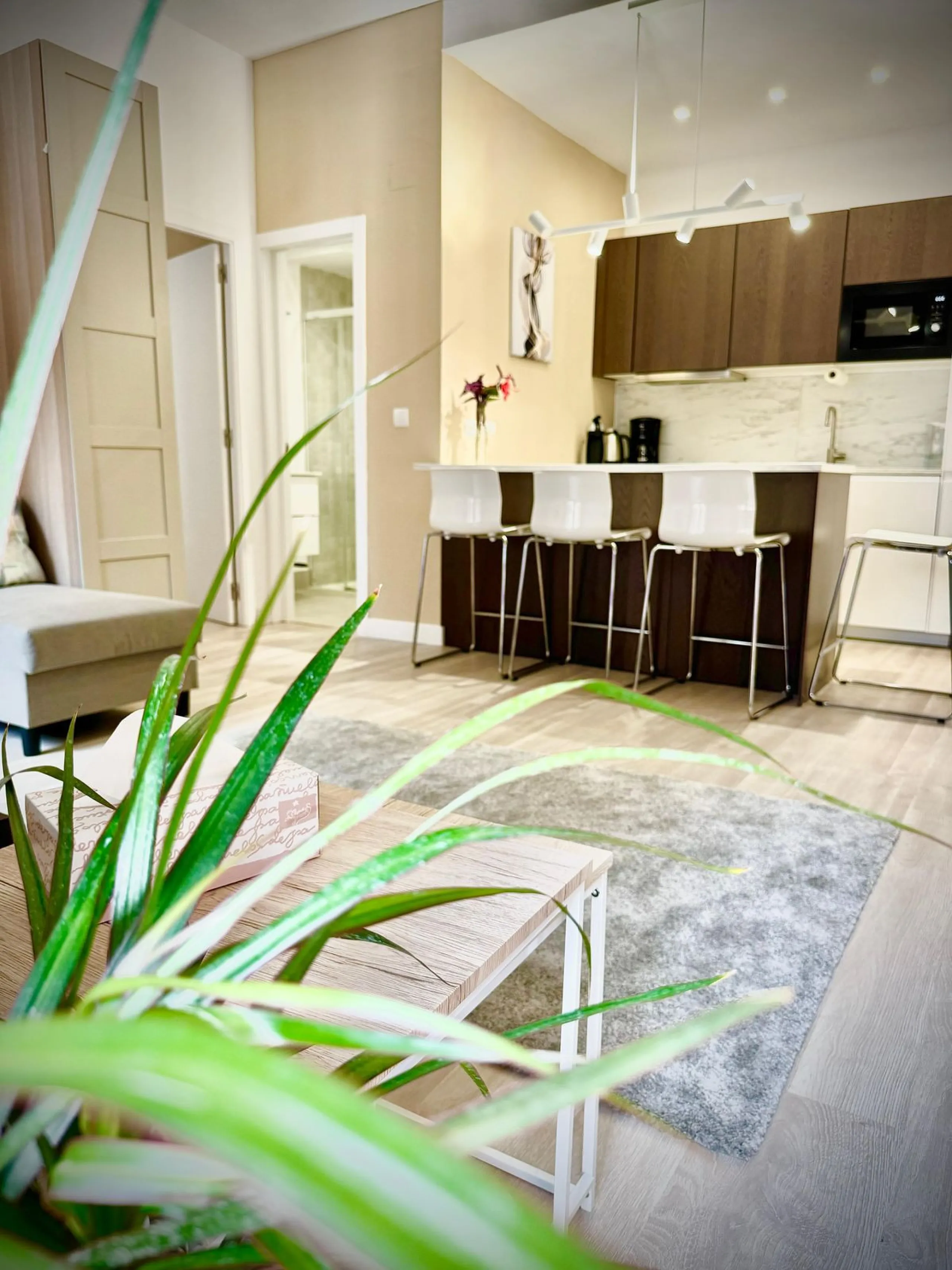 Charming Apartment with Direct Sea Access – Calahonda (Mijas)