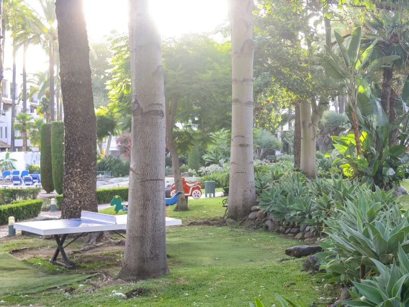 Very exclusive duplex penthouse, South facing, consisting in 3 bedrooms, 2 bathrooms, fully fitted kitchen and large lounge and dining area with access to a very nice terrace overlooking the fantastic gardens and pool area of the complex. On the upper flo
