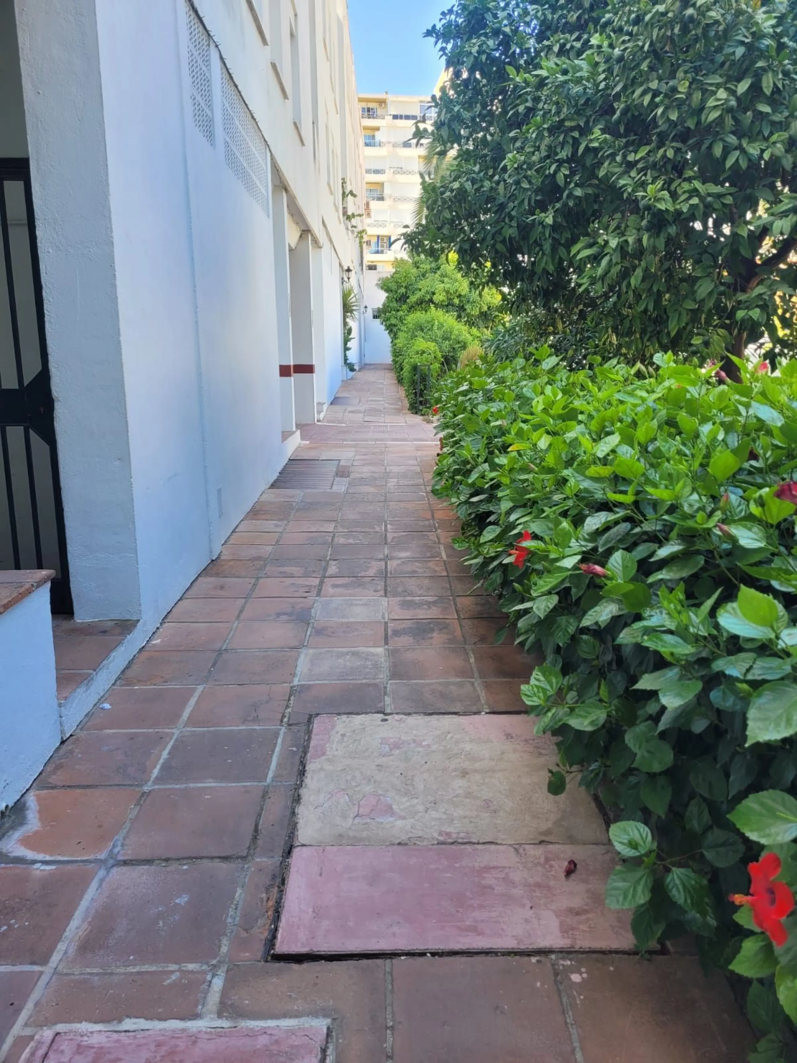 Apartment - Ground Floor Apartment в продаже в Torremolinos, Málaga. В доме 3 спален и 2 ванных комнат. Площадь дома 80 м²