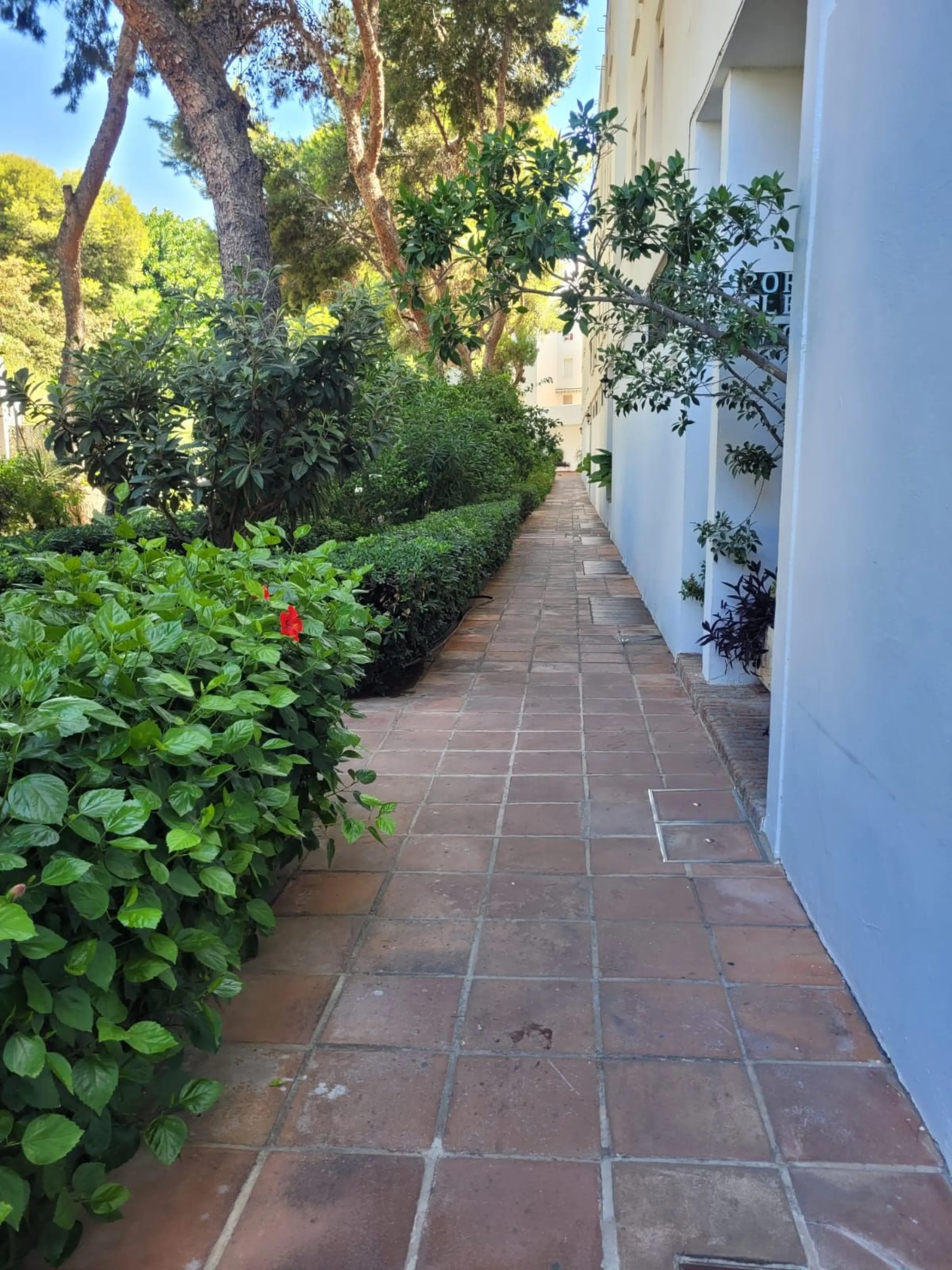 Apartment - Ground Floor Apartment в продаже в Torremolinos, Málaga. В доме 3 спален и 2 ванных комнат. Площадь дома 80 м²
