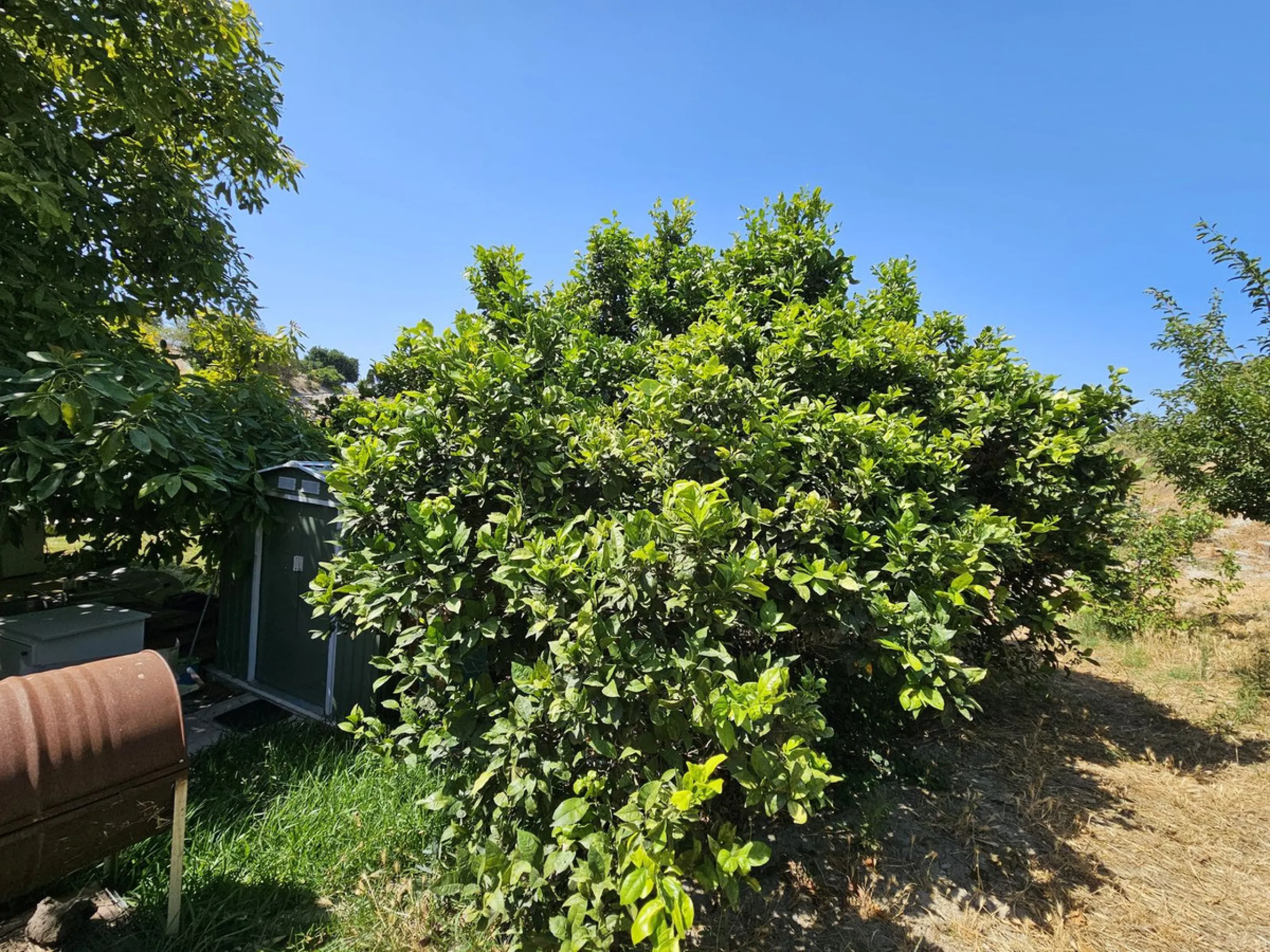 Opportunity, opportunity.