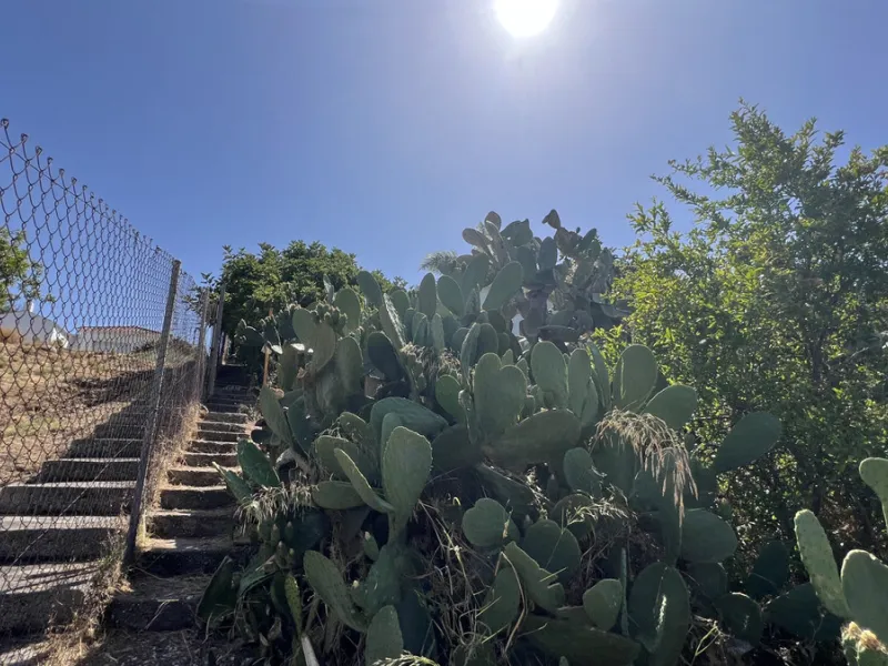 Tucked away in the peaceful El Velerín area of Estepona's prestigious New Golden Mile, this delightful detached villa offers the perfect blend of rustic charm, comfort and outdoor living.