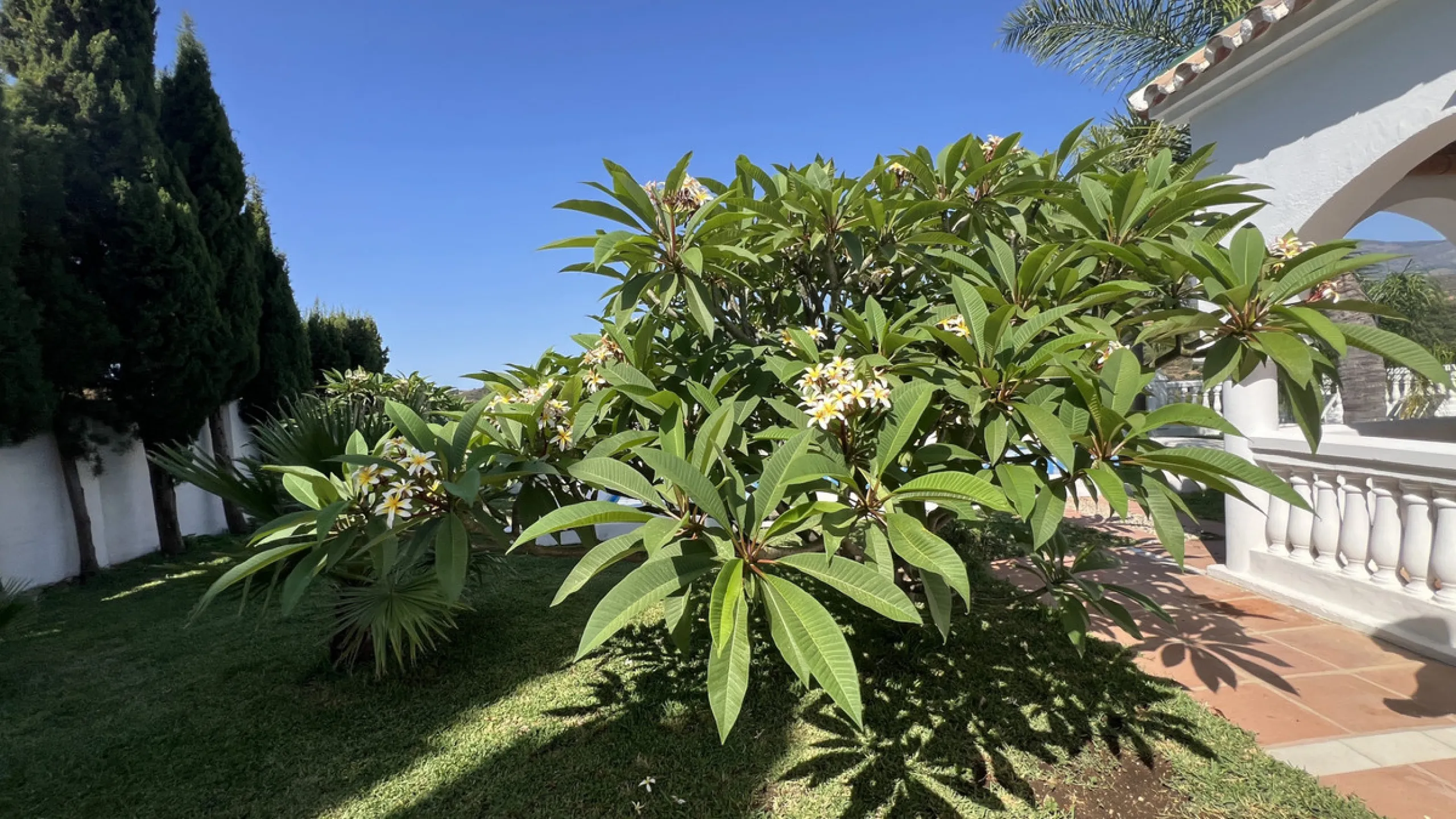 Tucked away in the peaceful El Velerín area of Estepona's prestigious New Golden Mile, this delightful detached villa offers the perfect blend of rustic charm, comfort and outdoor living.