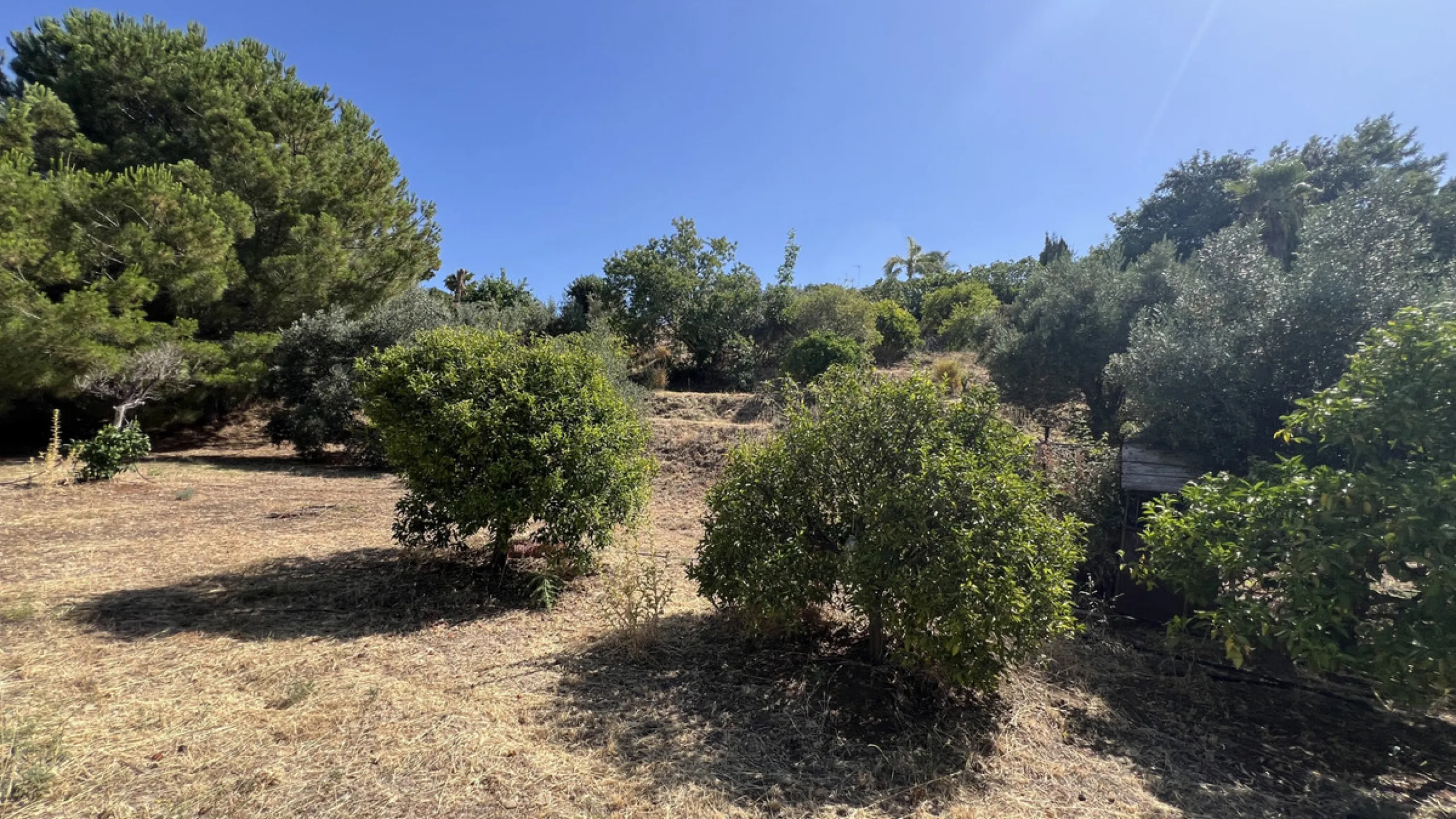 Tucked away in the peaceful El Velerín area of Estepona's prestigious New Golden Mile, this delightful detached villa offers the perfect blend of rustic charm, comfort and outdoor living.