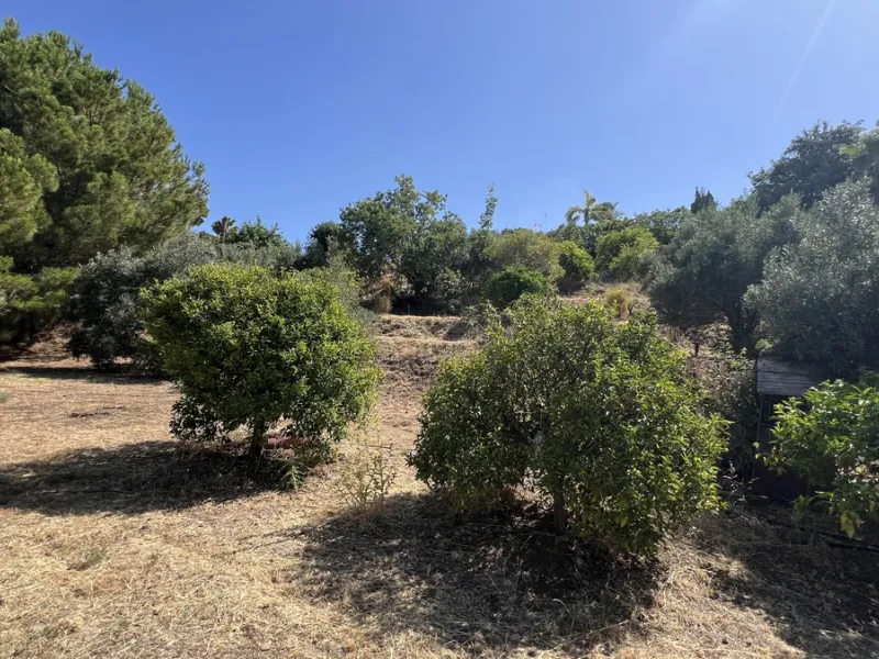 Tucked away in the peaceful El Velerín area of Estepona's prestigious New Golden Mile, this delightful detached villa offers the perfect blend of rustic charm, comfort and outdoor living.
