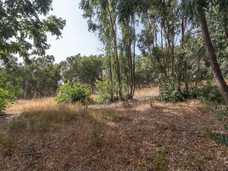 Residential plot with  sea views!