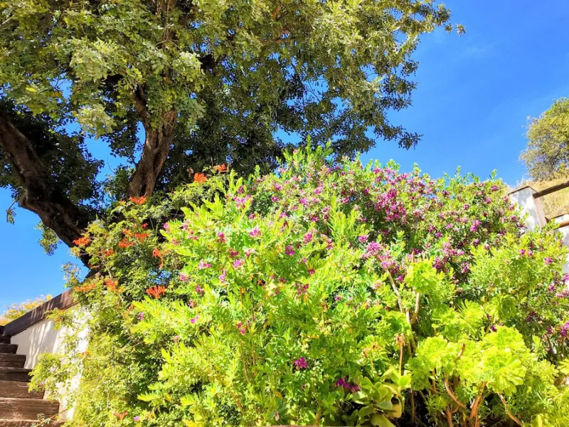 This charming property features a spacious 3-bedroom, 1-bathroom house with two levels, located in the peaceful Barranco del Sol neighborhood. only 25 min drive to Malaga