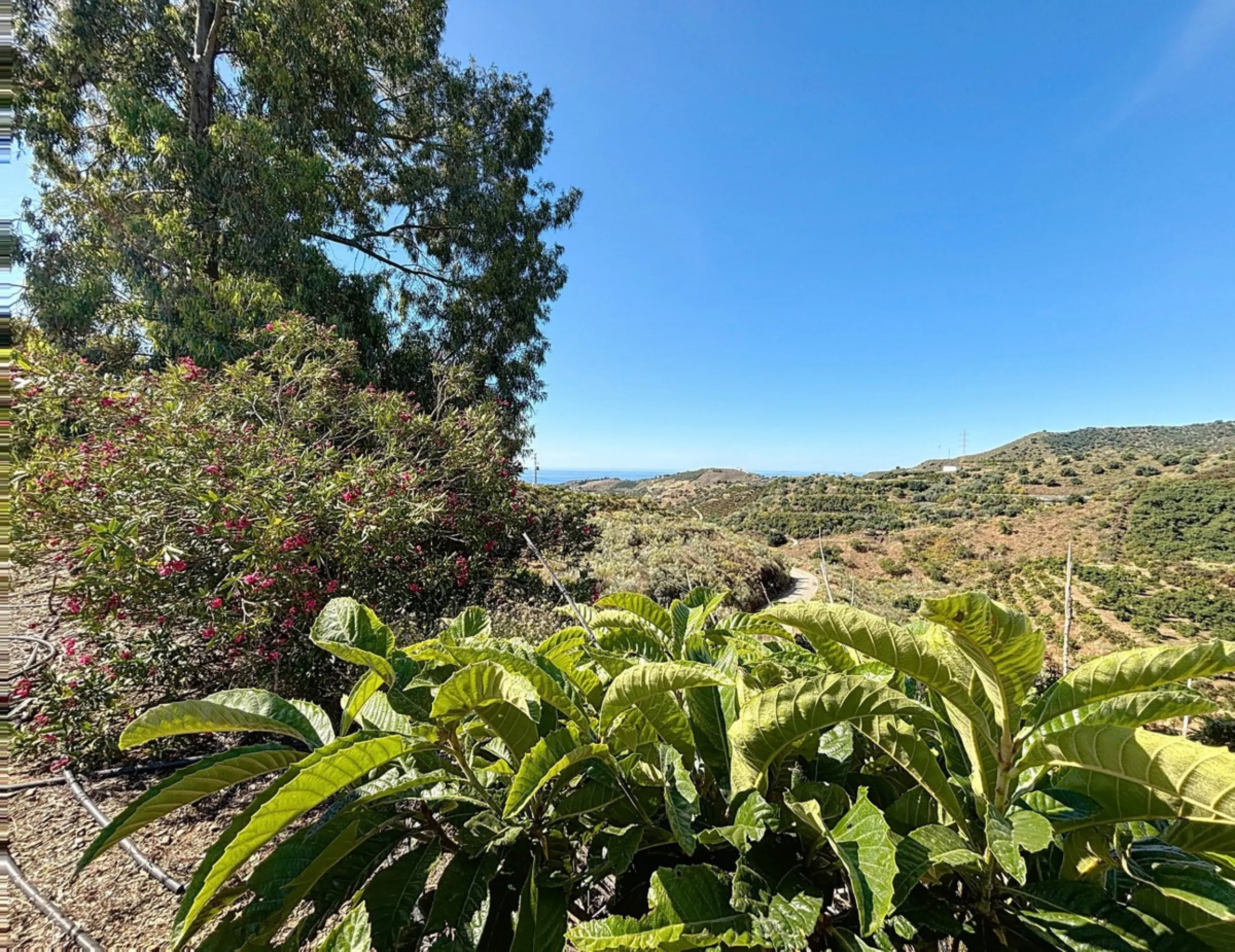 This impressive finca near Almayate spans almost 32,000 m2 of land and offers ample space for peace, self-sufficiency or small-scale farming projects. At its heart lies a charming house of approx. 200 m2, thoughtfully designed with three bedrooms and thre