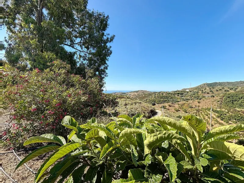 This impressive finca near Almayate spans almost 32,000 m2 of land and offers ample space for peace, self-sufficiency or small-scale farming projects. At its heart lies a charming house of approx. 200 m2, thoughtfully designed with three bedrooms and thre